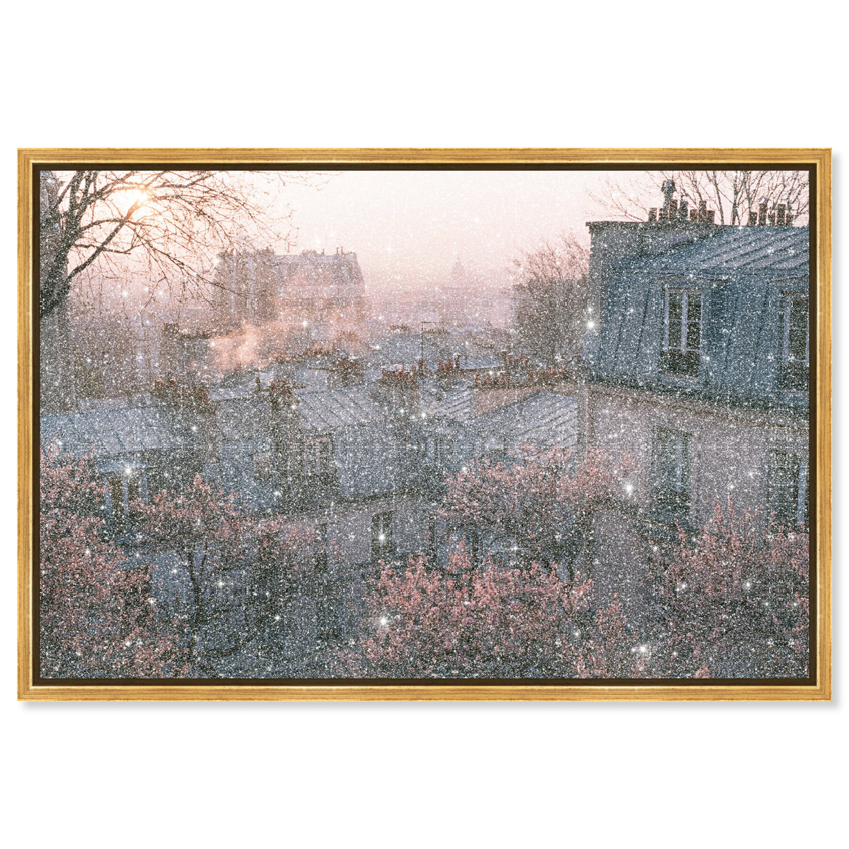 Blossom Framed Paris IV