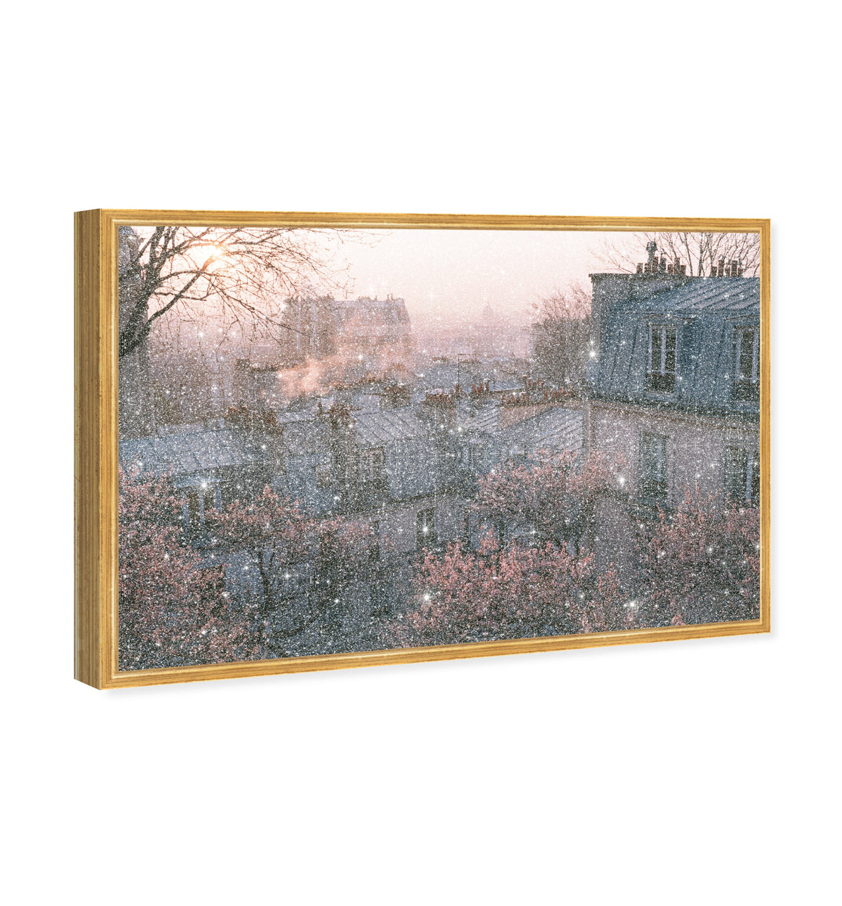 Blossom Framed Paris IV