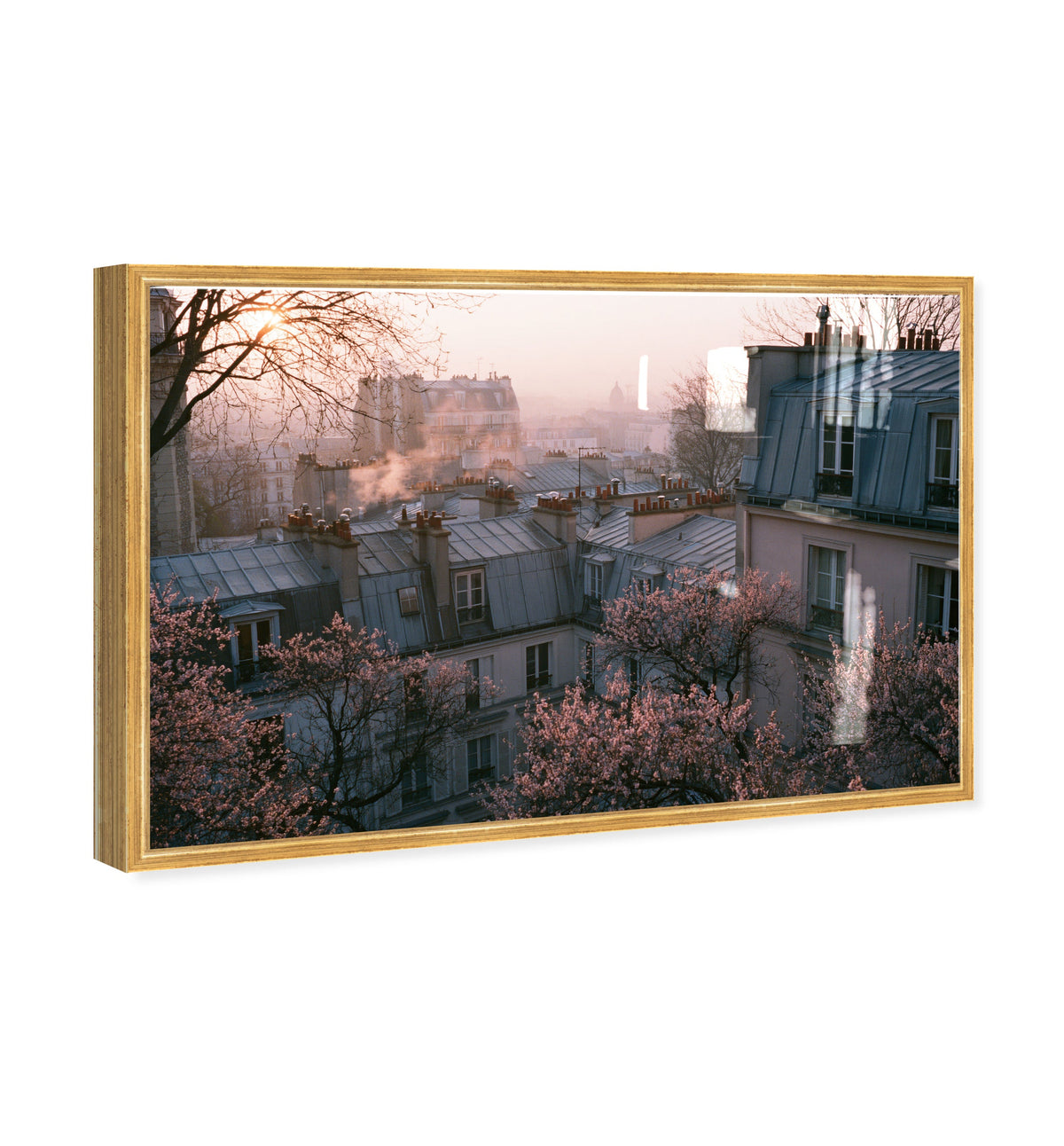 Blossom Framed Paris IV