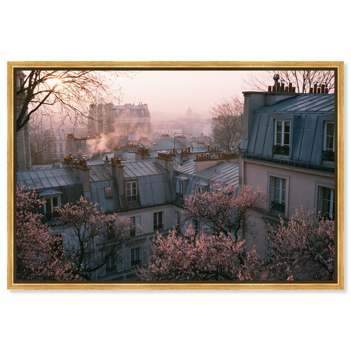 Blossom Framed Paris IV