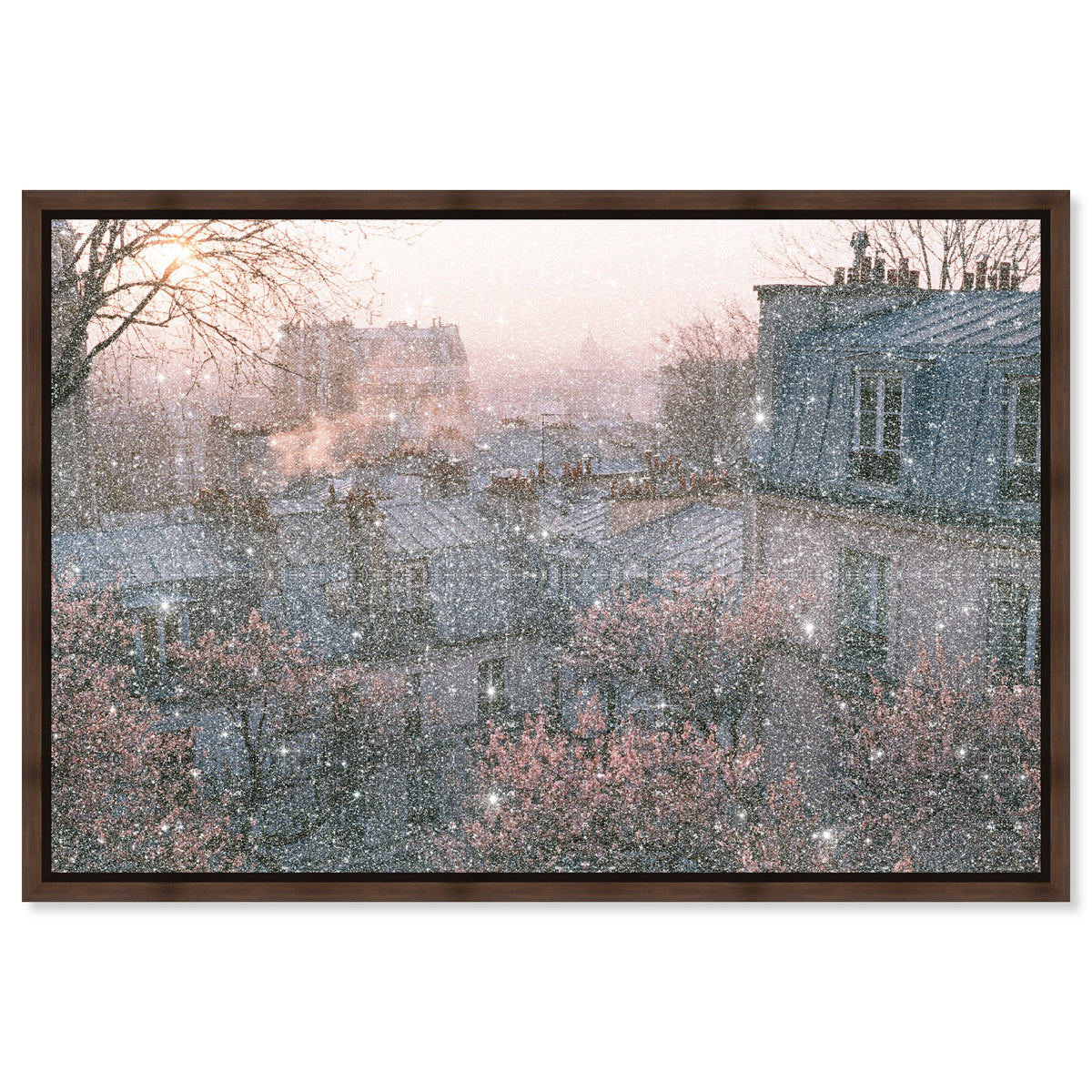 Blossom Framed Paris IV