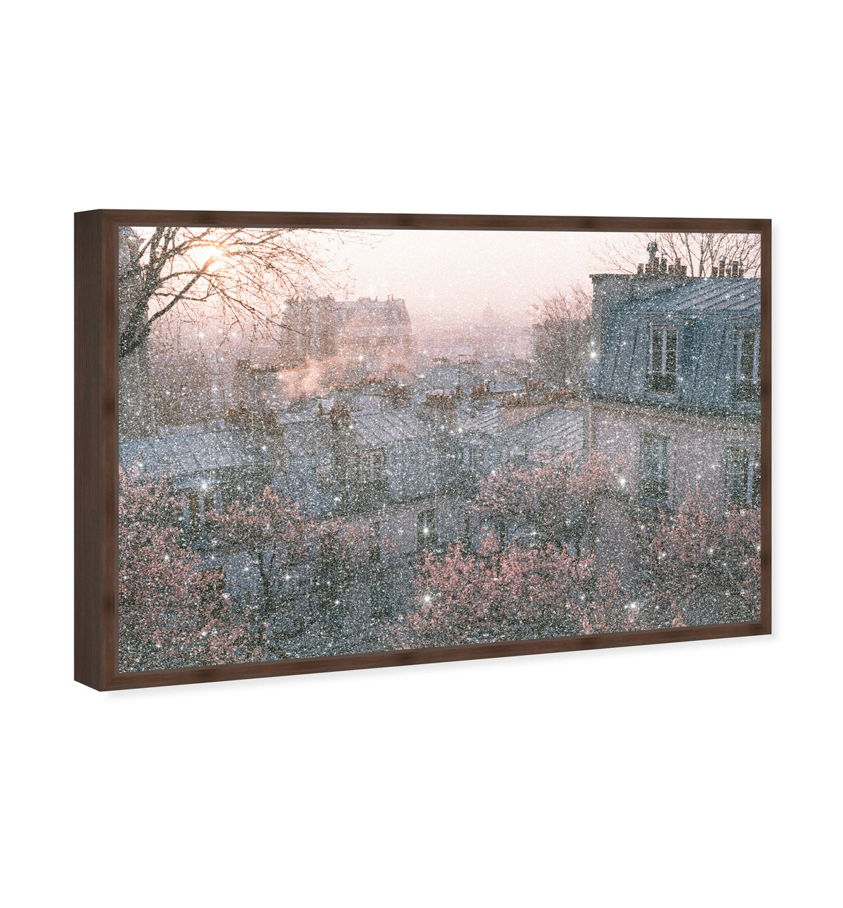 Blossom Framed Paris IV