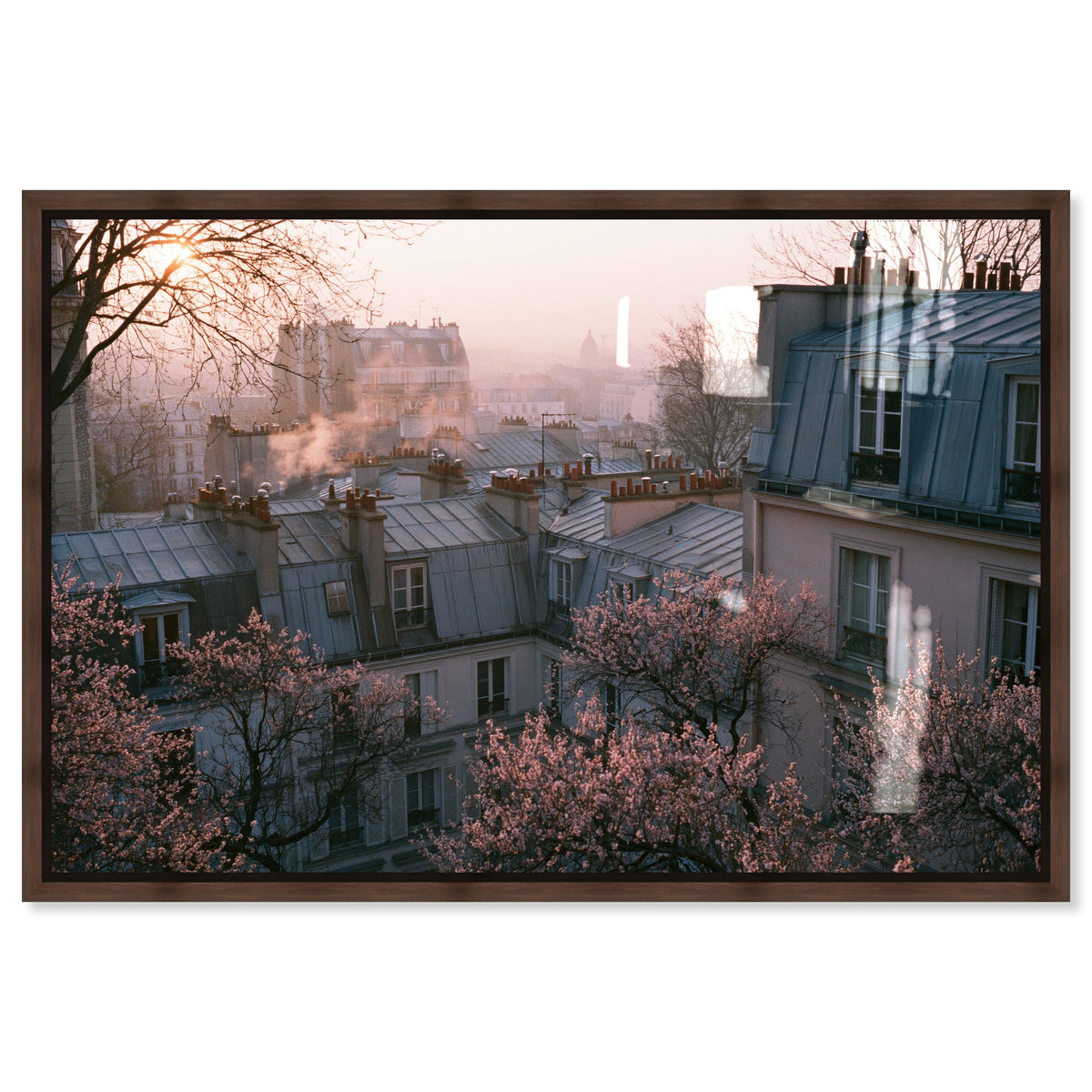 Blossom Framed Paris IV