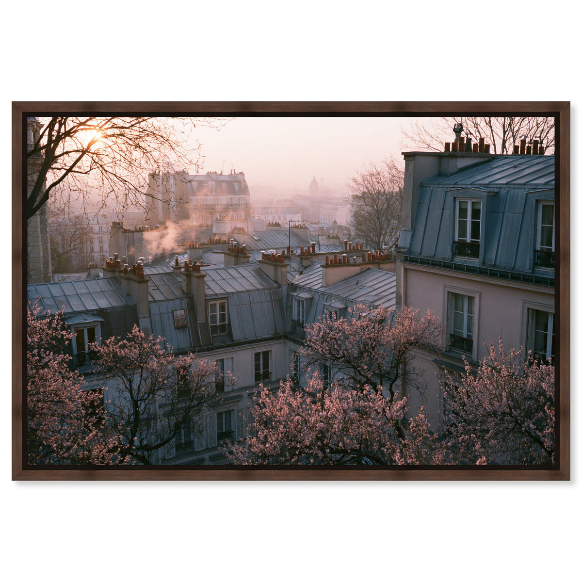 Blossom Framed Paris IV