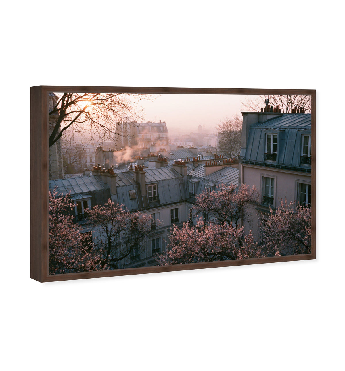 Blossom Framed Paris IV