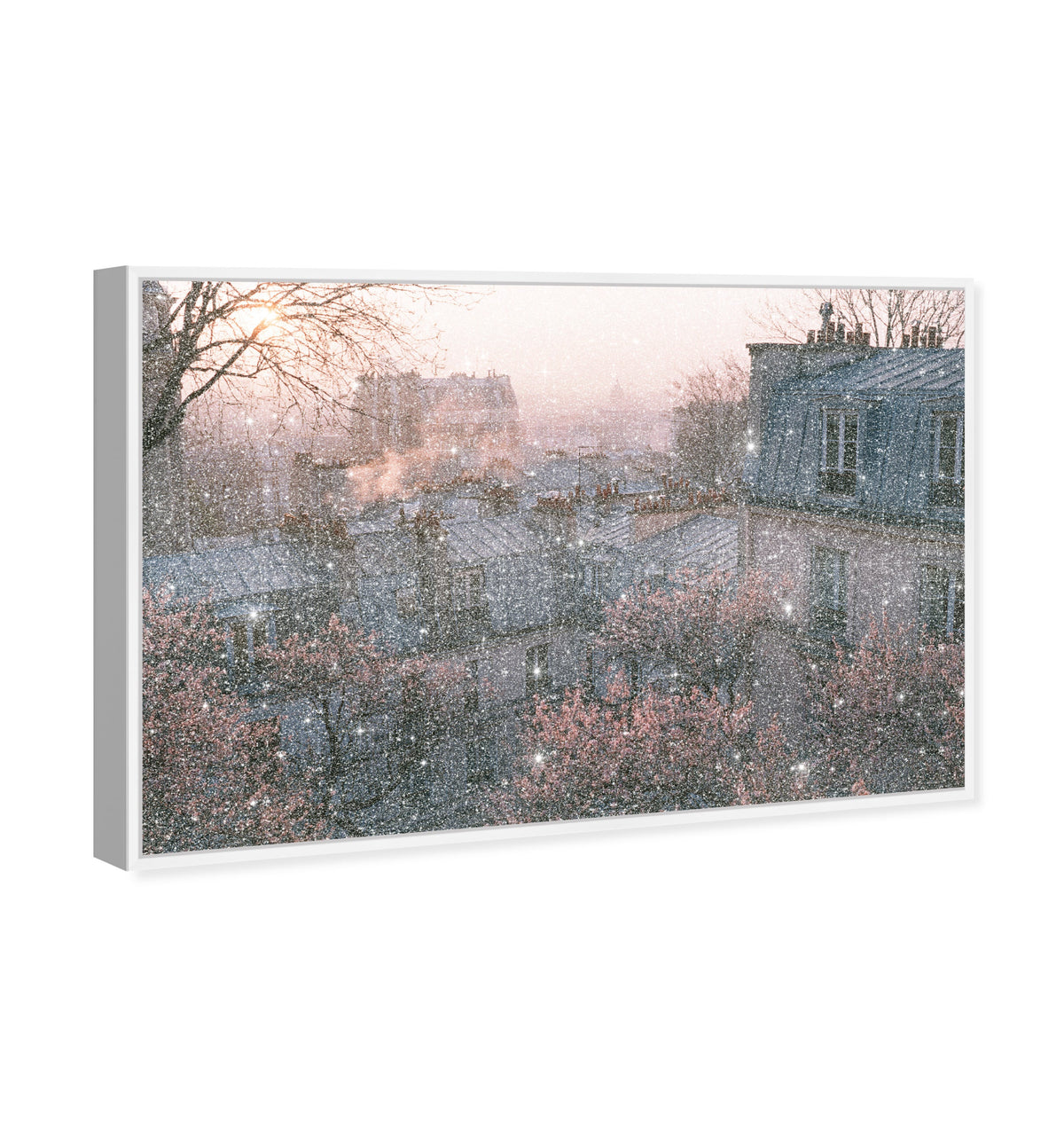 Blossom Framed Paris IV