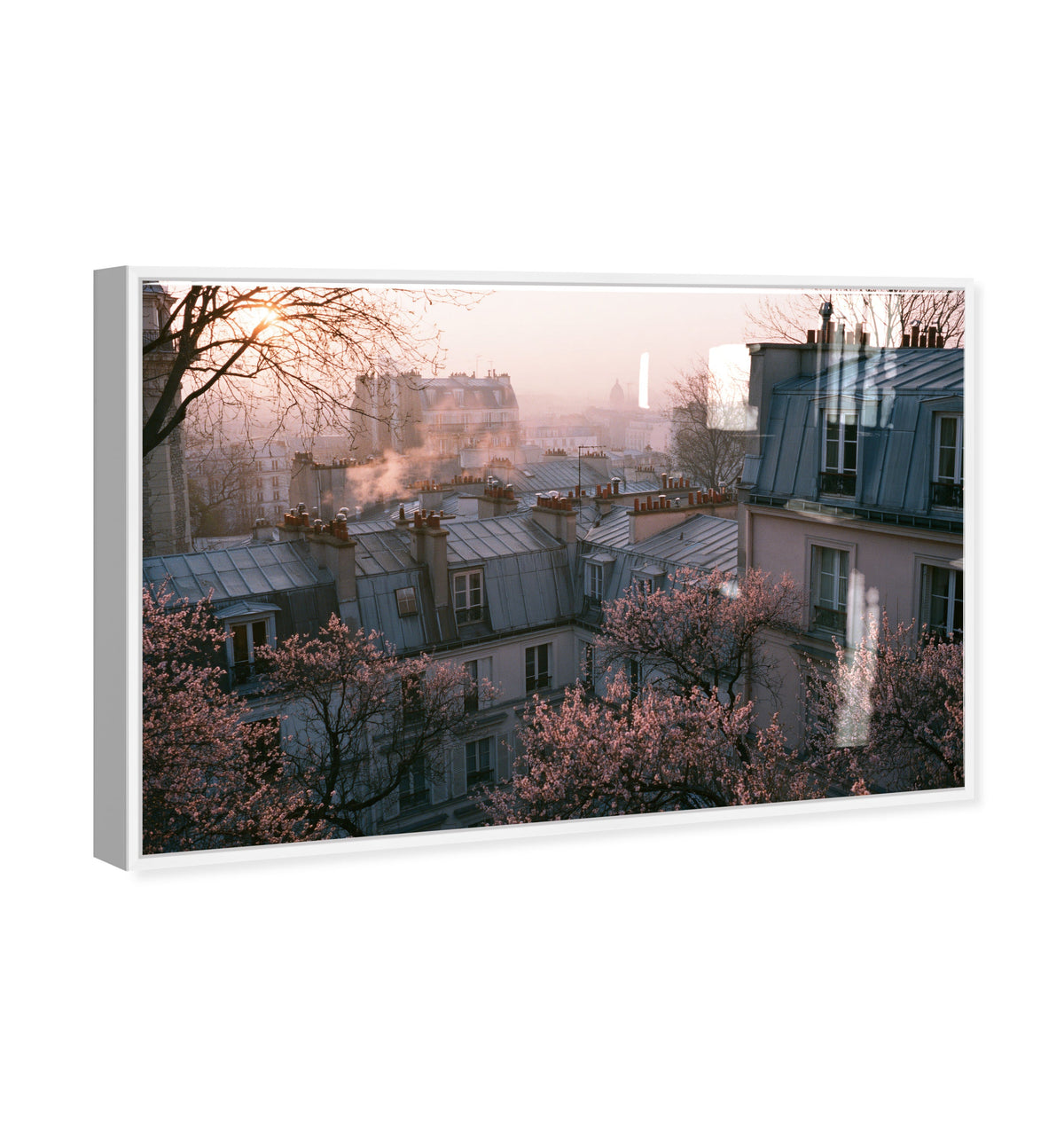 Blossom Framed Paris IV