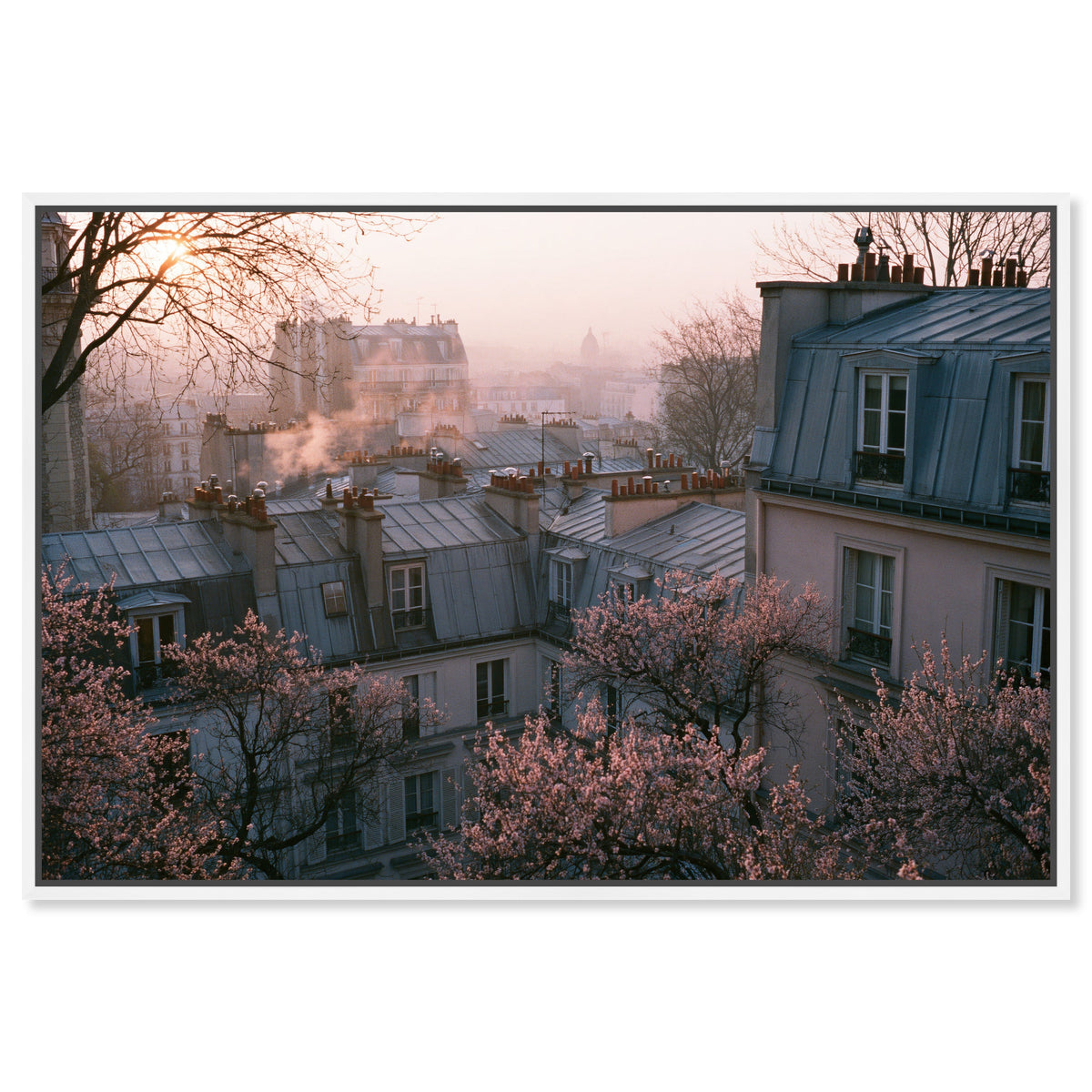 Blossom Framed Paris IV