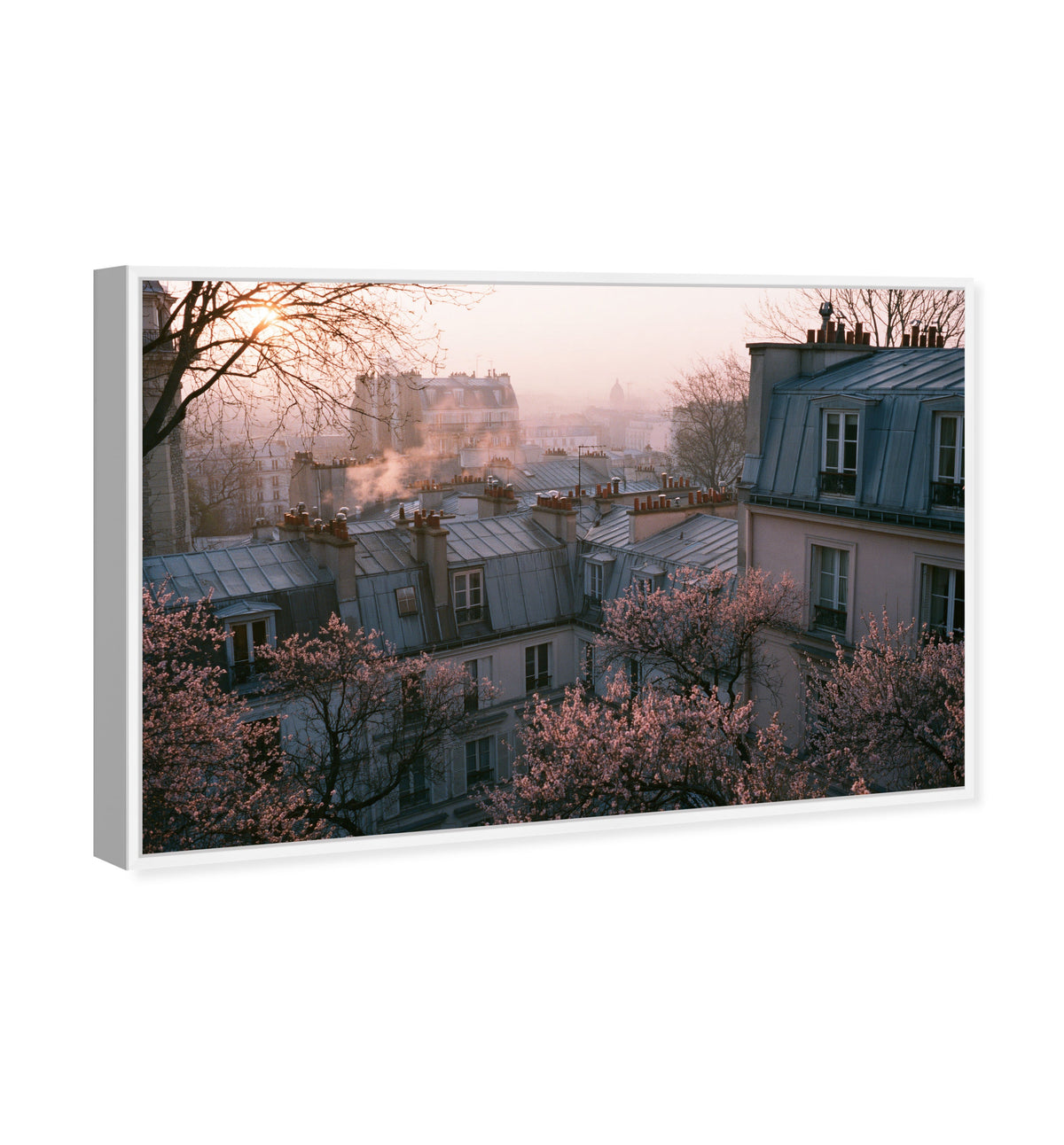 Blossom Framed Paris IV