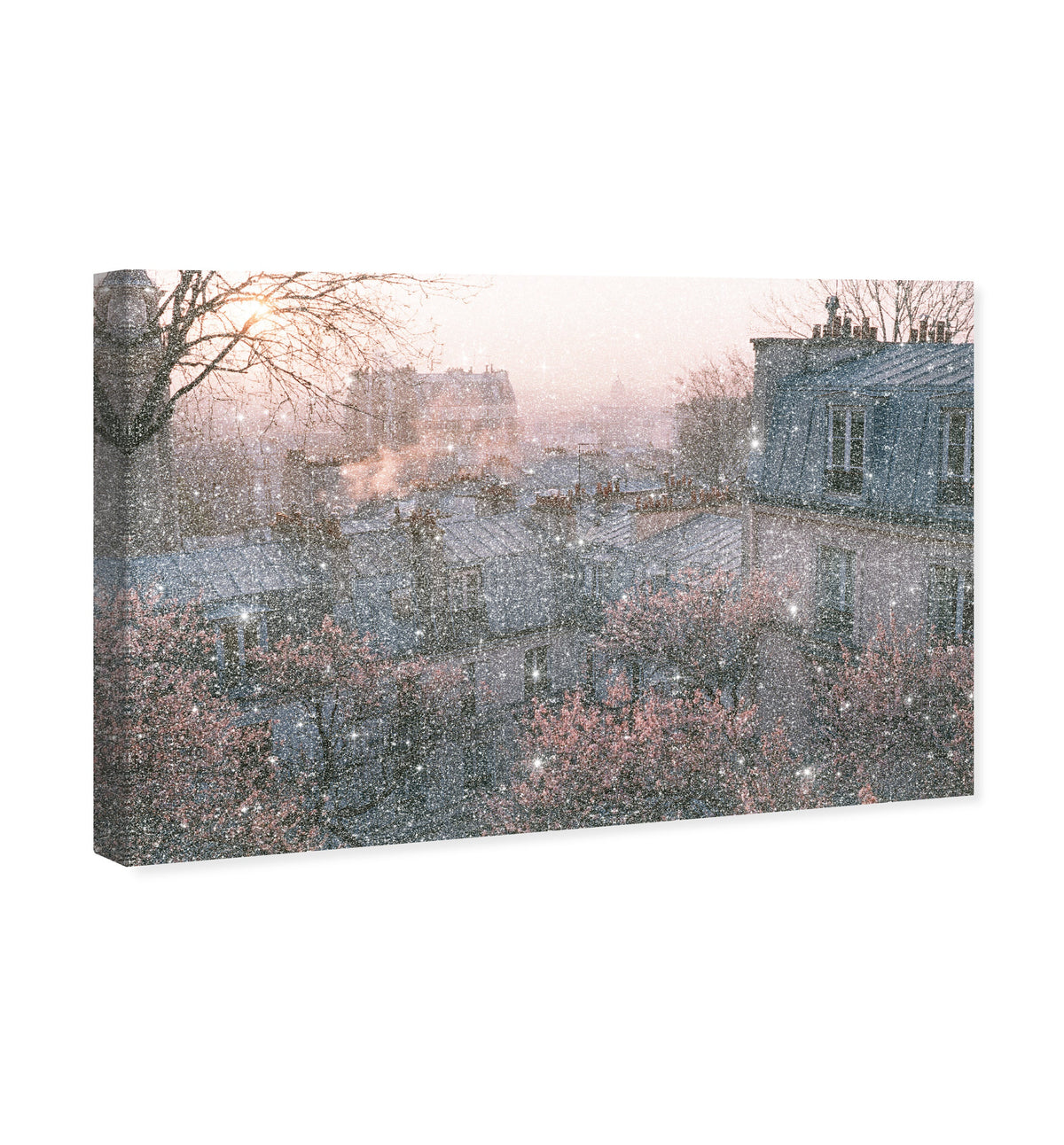 Blossom Framed Paris IV