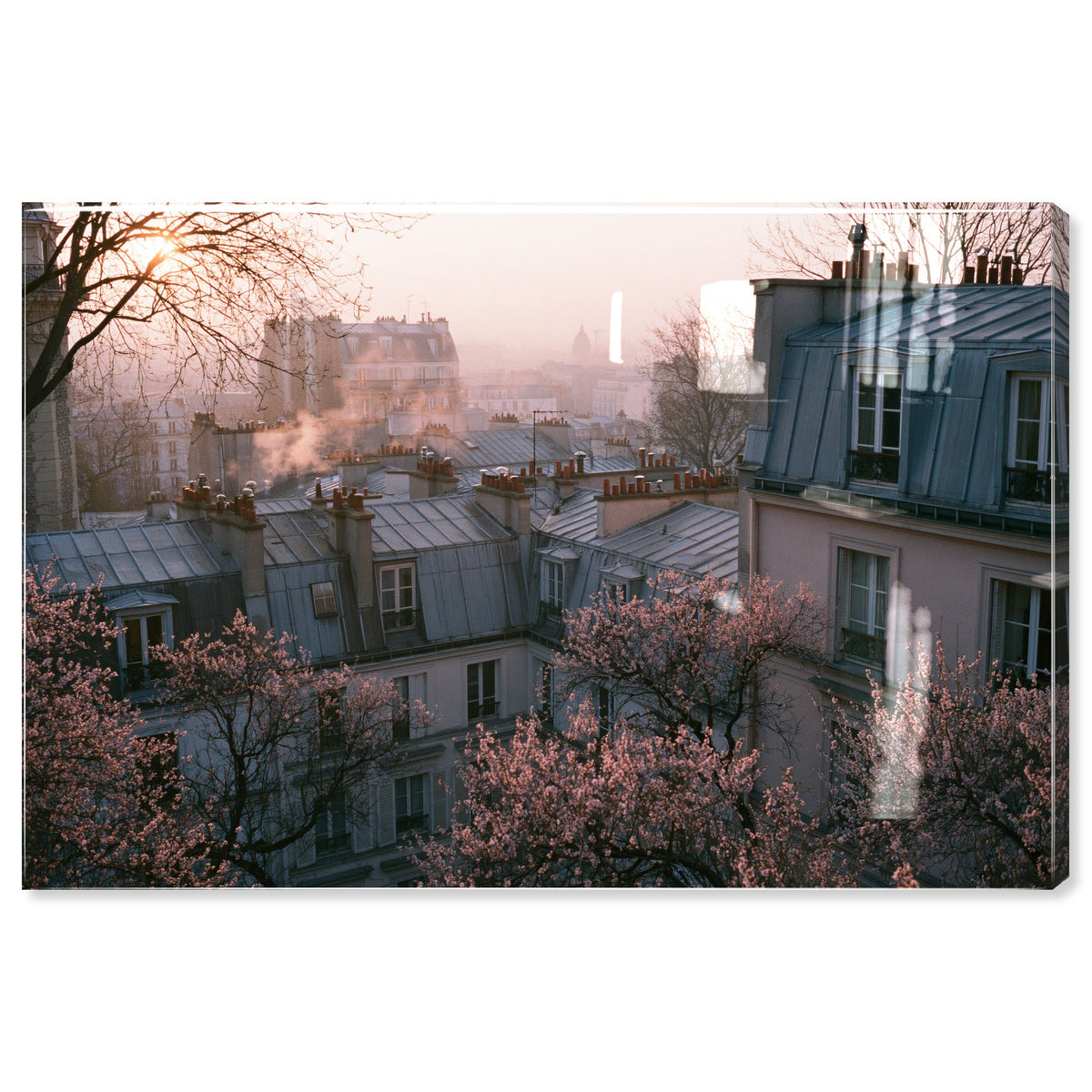 Blossom Framed Paris IV
