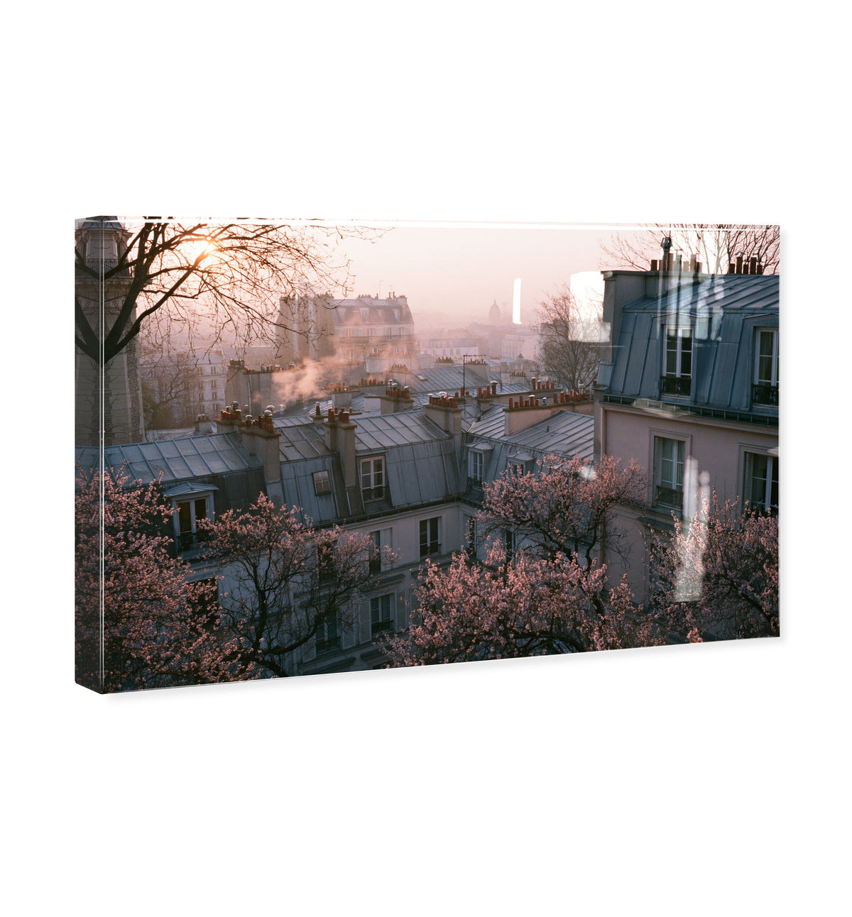 Blossom Framed Paris IV