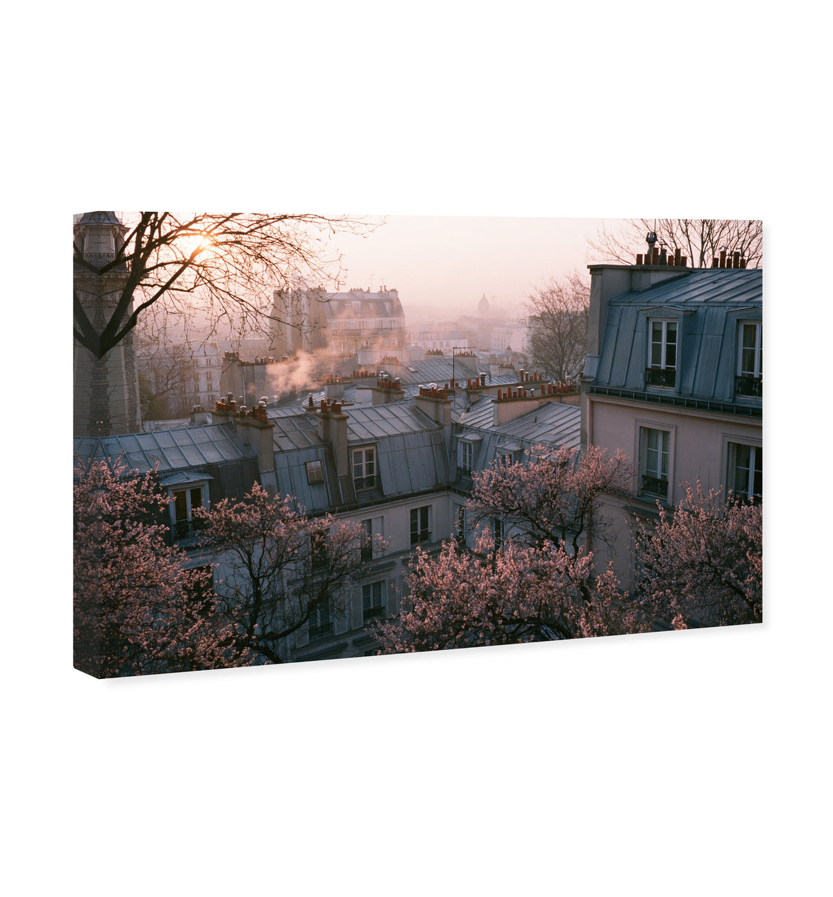 Blossom Framed Paris IV