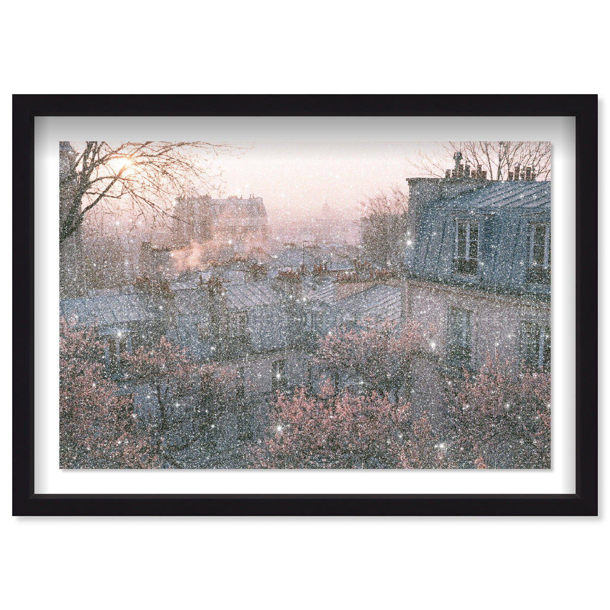 Blossom Framed Paris IV