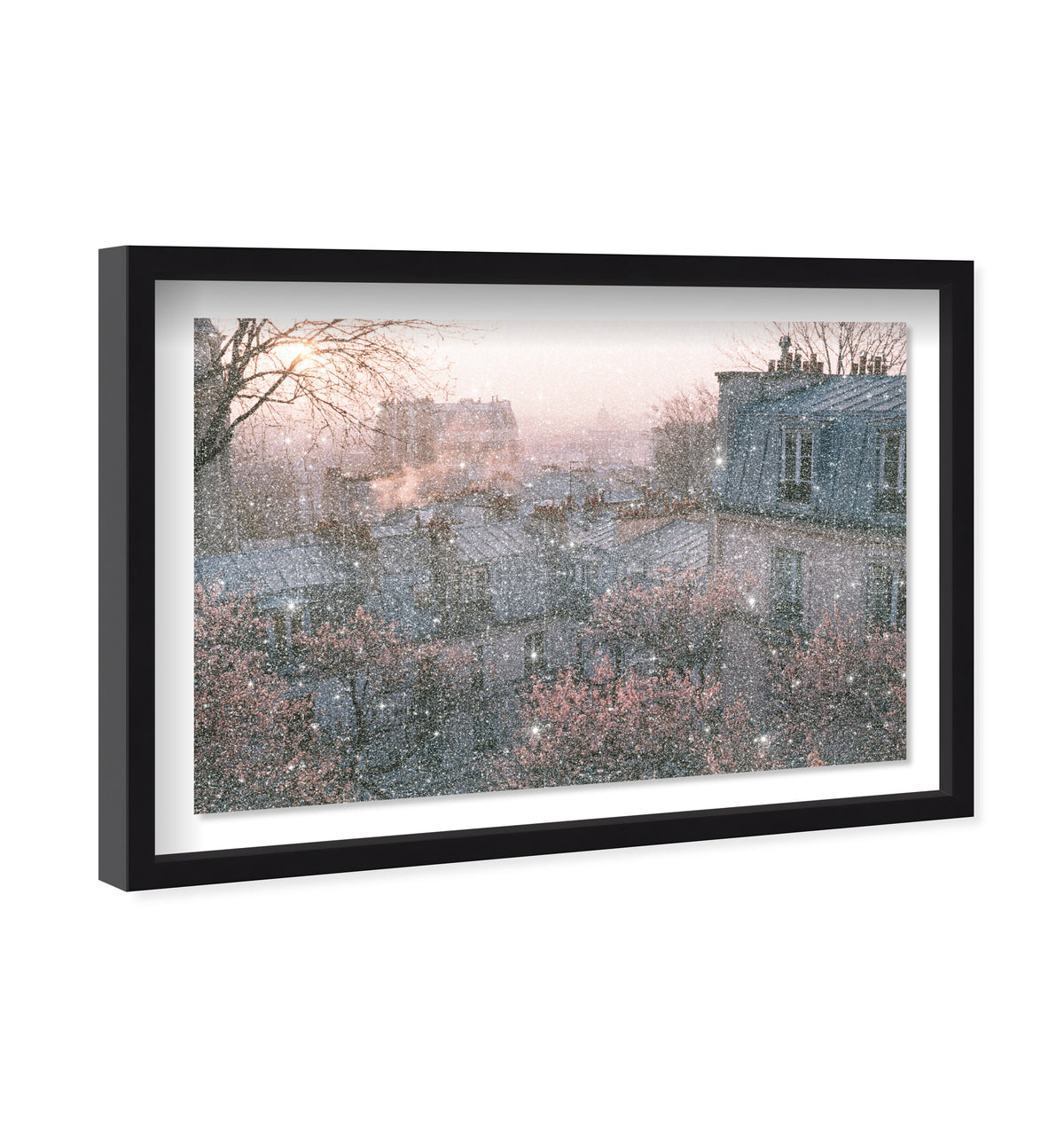 Blossom Framed Paris IV