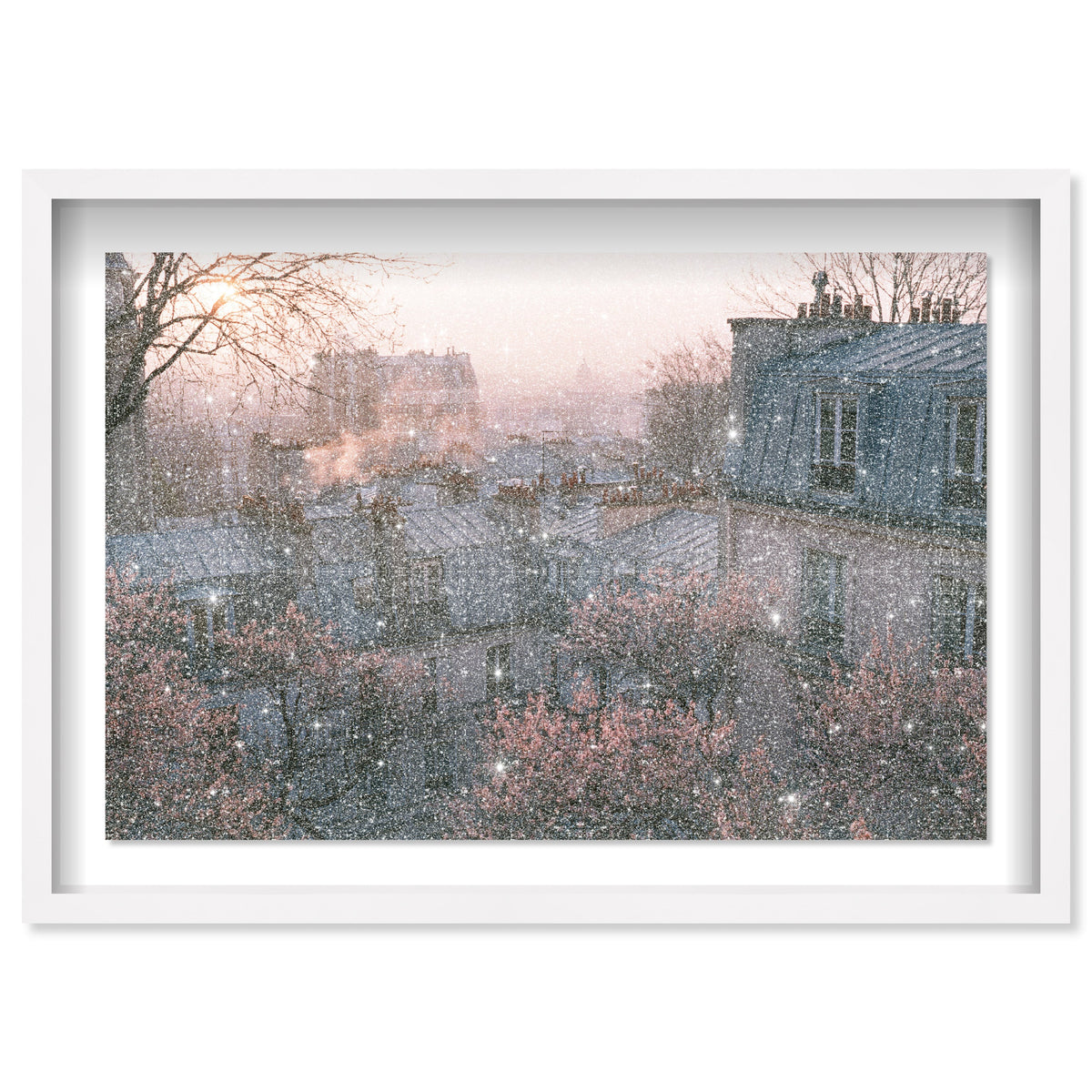 Blossom Framed Paris IV