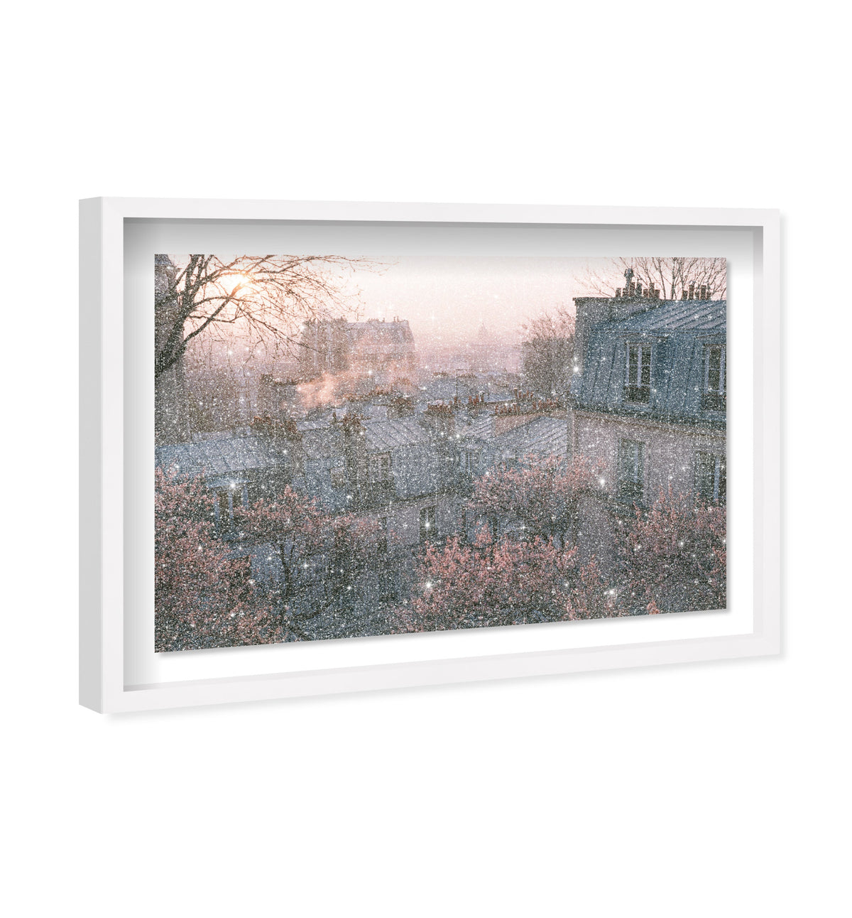Blossom Framed Paris IV