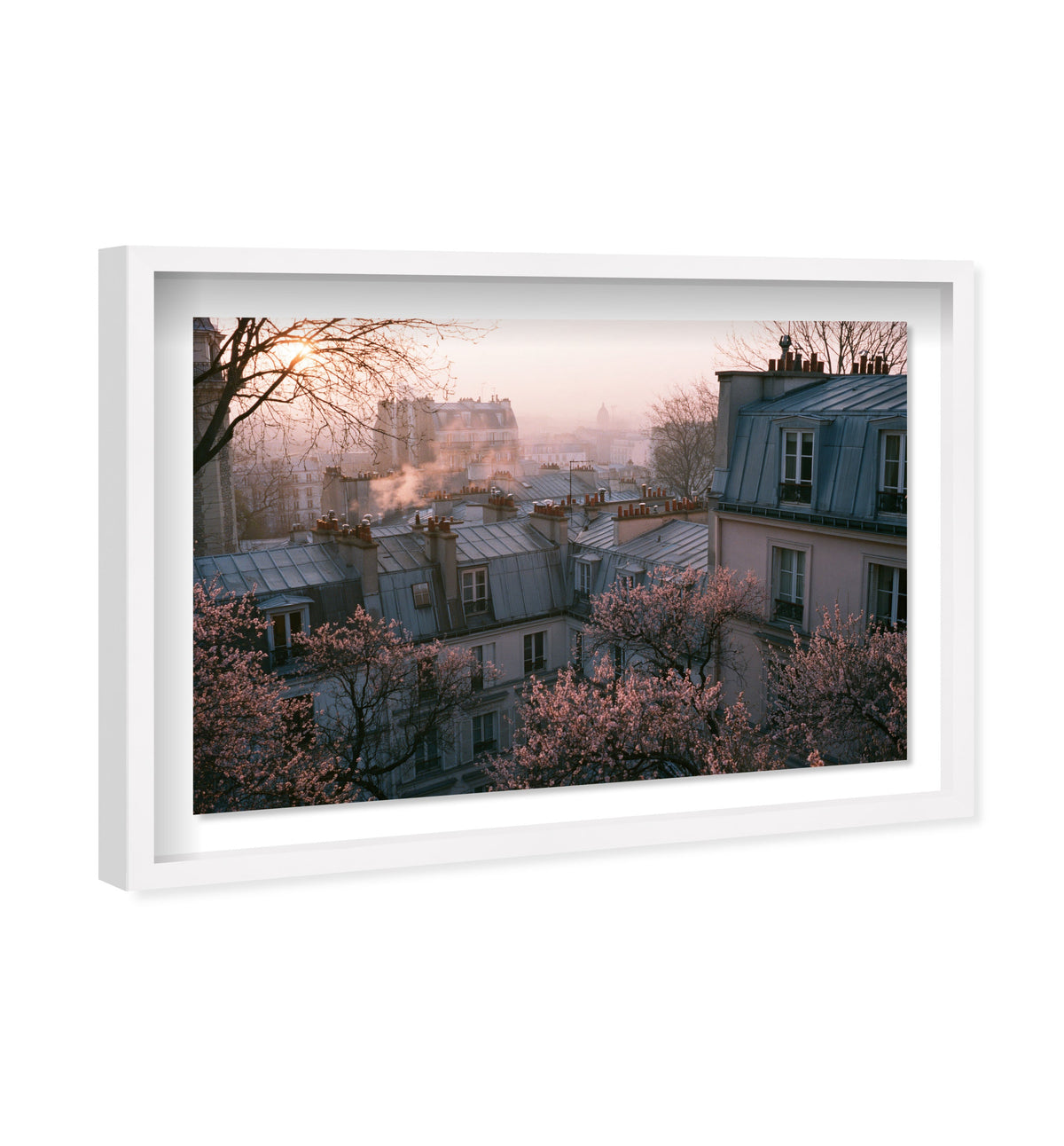 Blossom Framed Paris IV