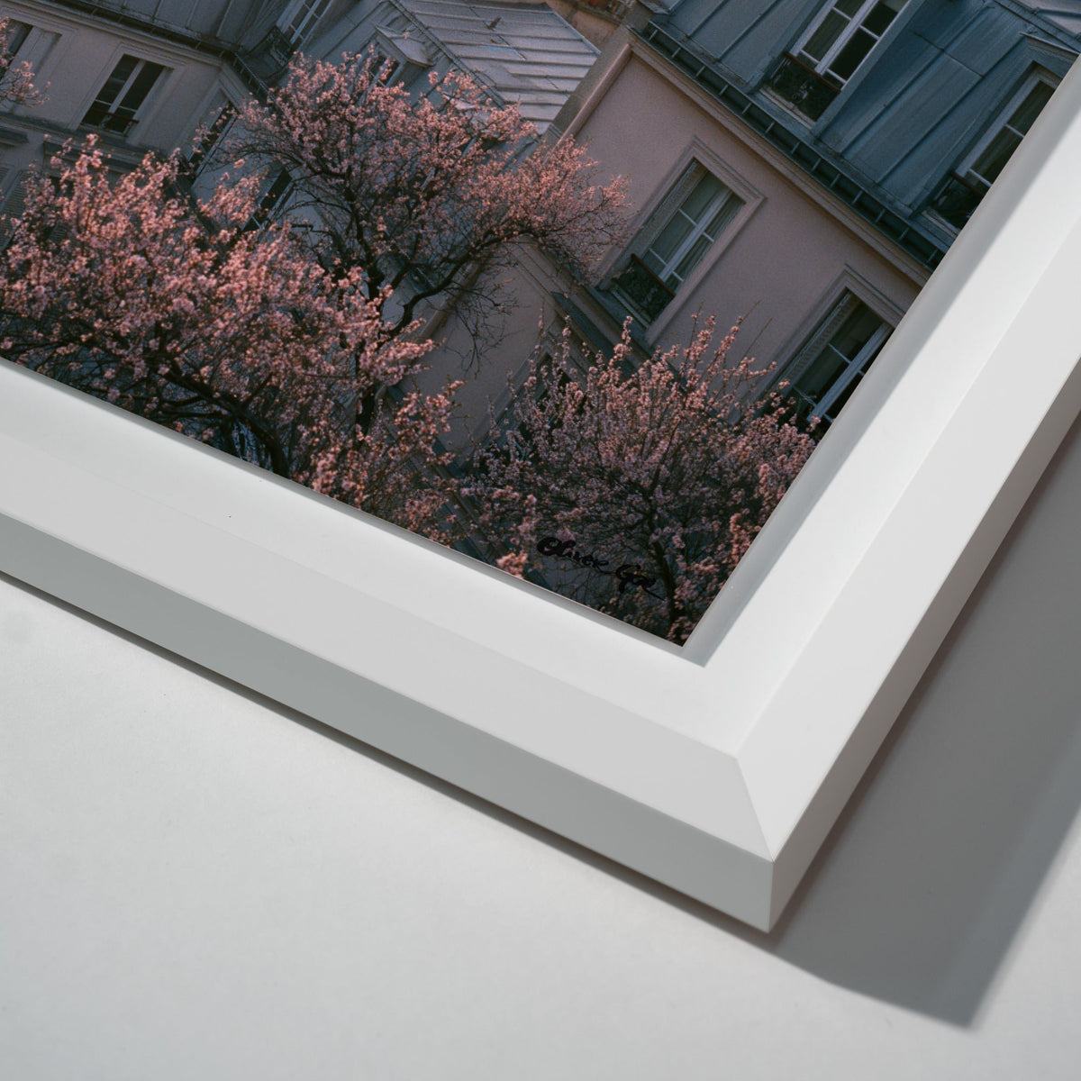 Blossom Framed Paris IV