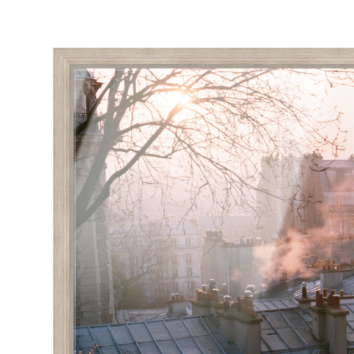 Blossom Framed Paris IV
