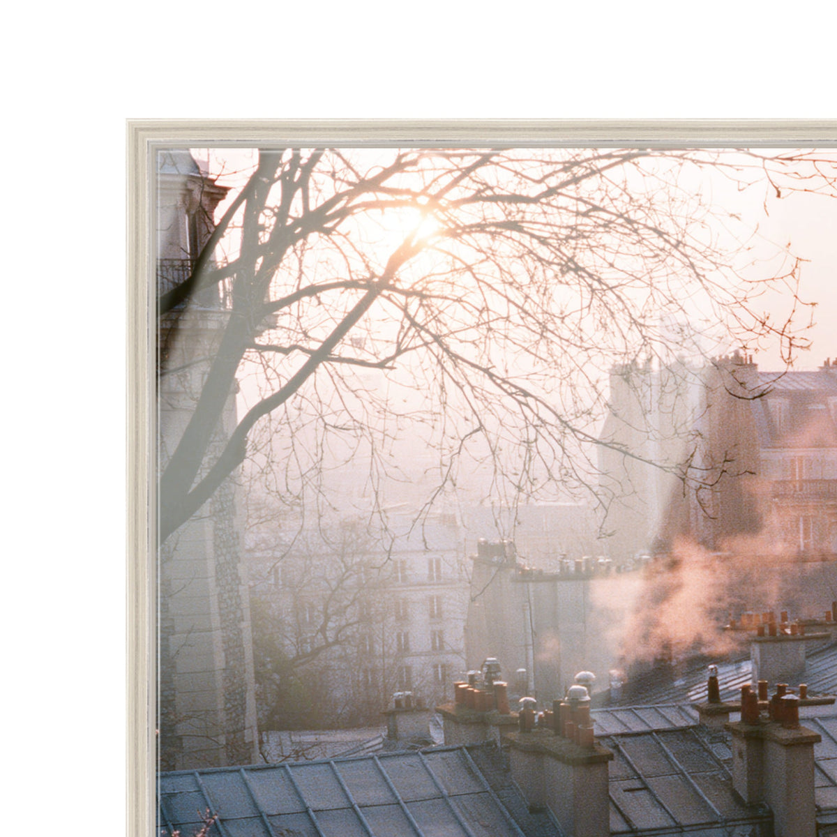 Blossom Framed Paris IV