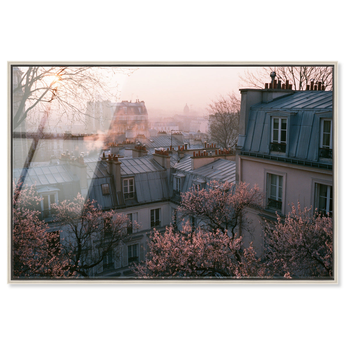 Blossom Framed Paris IV