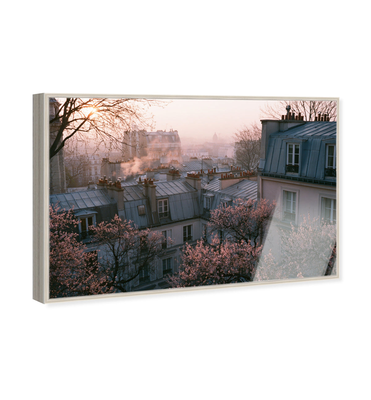 Blossom Framed Paris IV