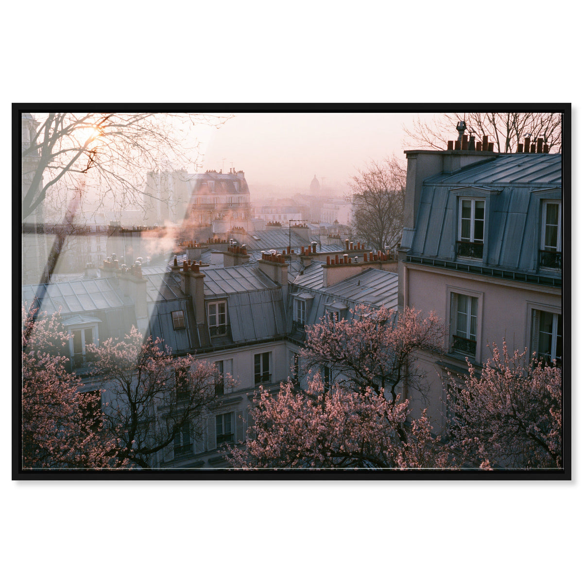 Blossom Framed Paris IV