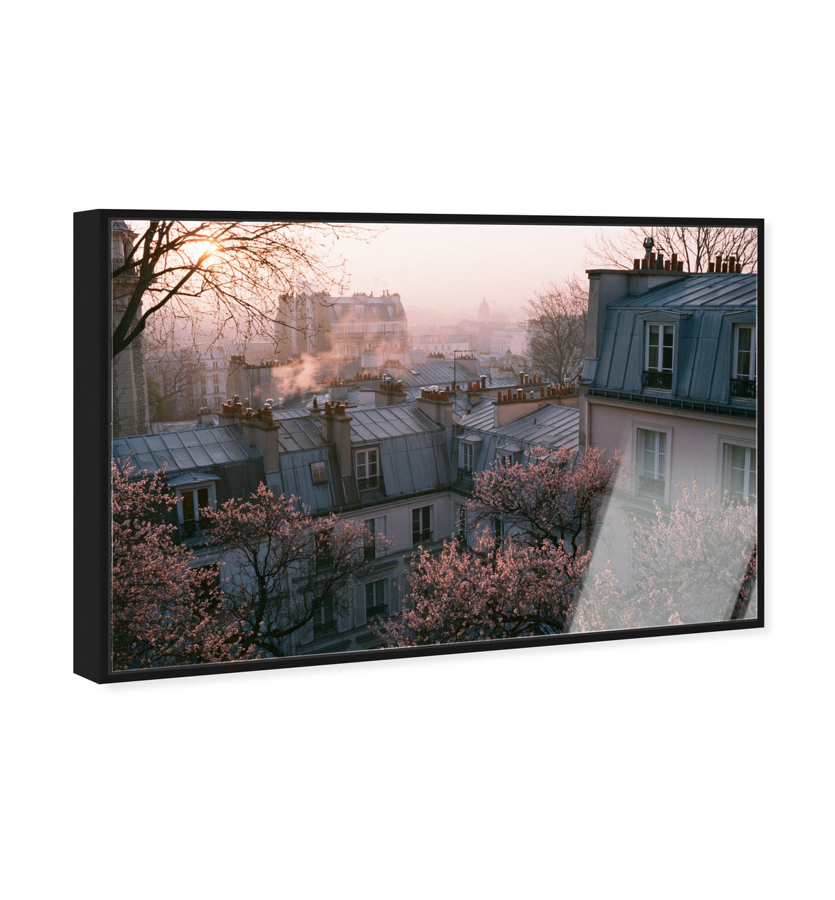 Blossom Framed Paris IV