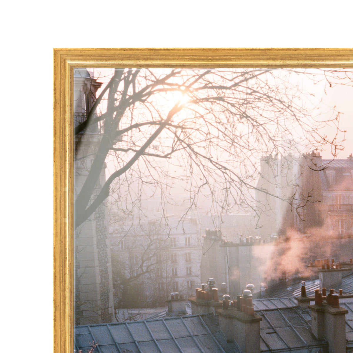 Blossom Framed Paris IV