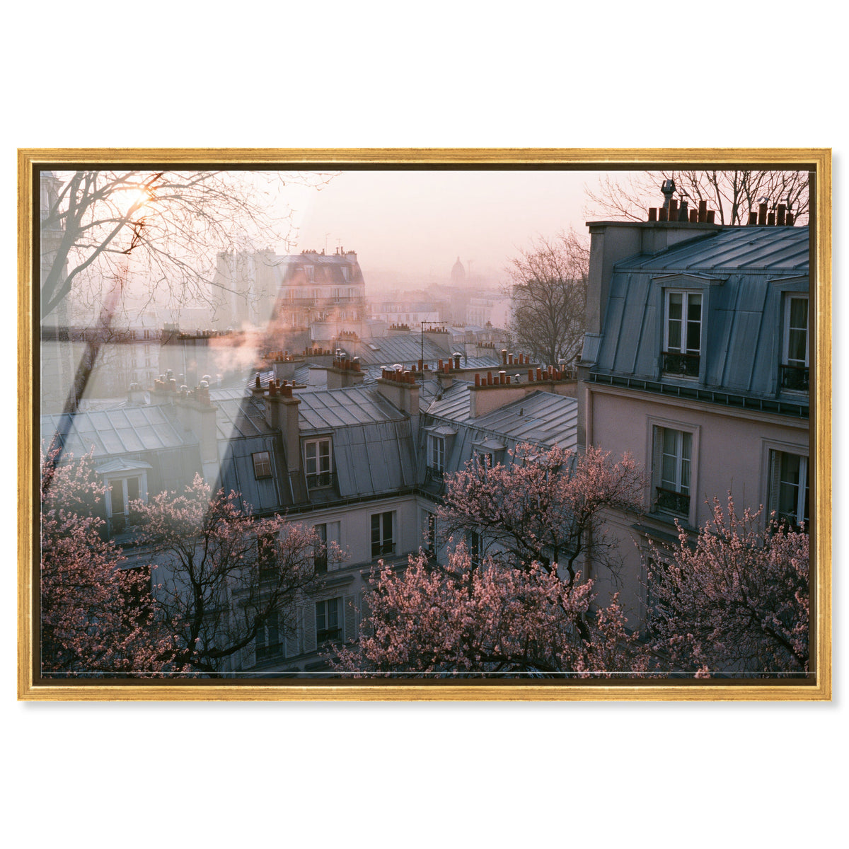 Blossom Framed Paris IV