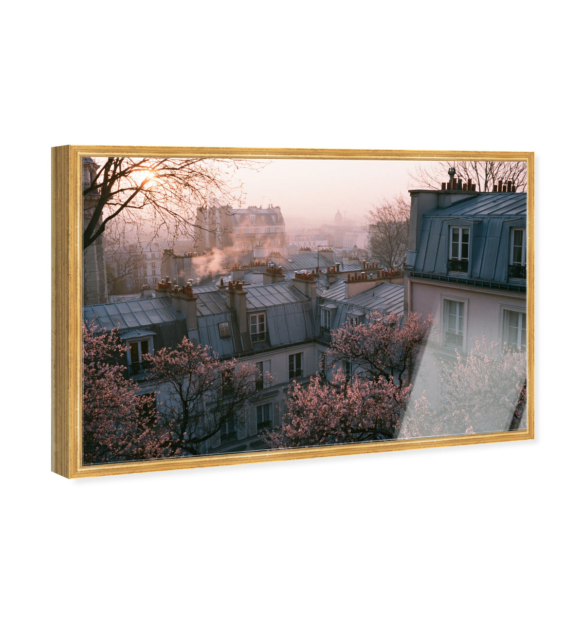 Blossom Framed Paris IV