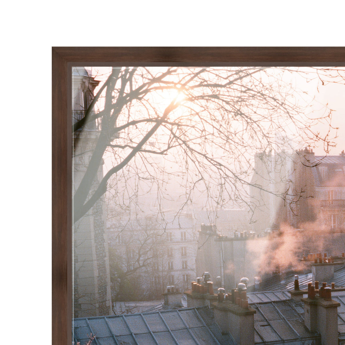 Blossom Framed Paris IV