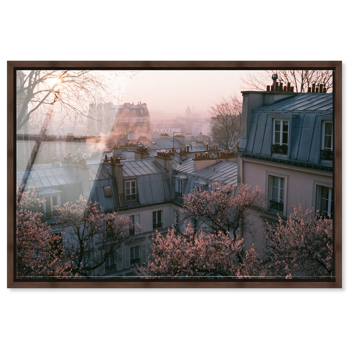 Blossom Framed Paris IV