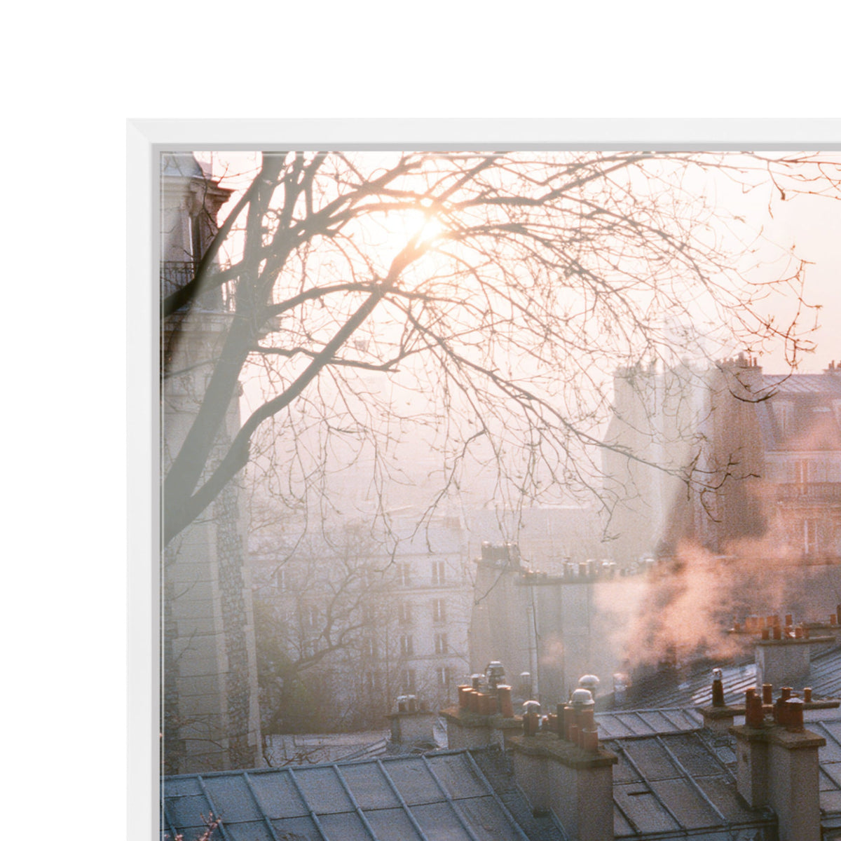 Blossom Framed Paris IV