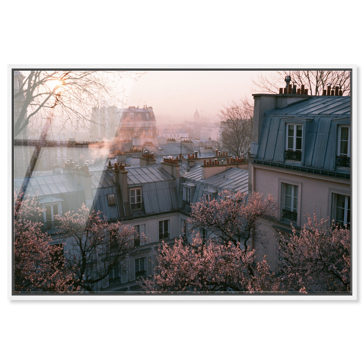 Blossom Framed Paris IV