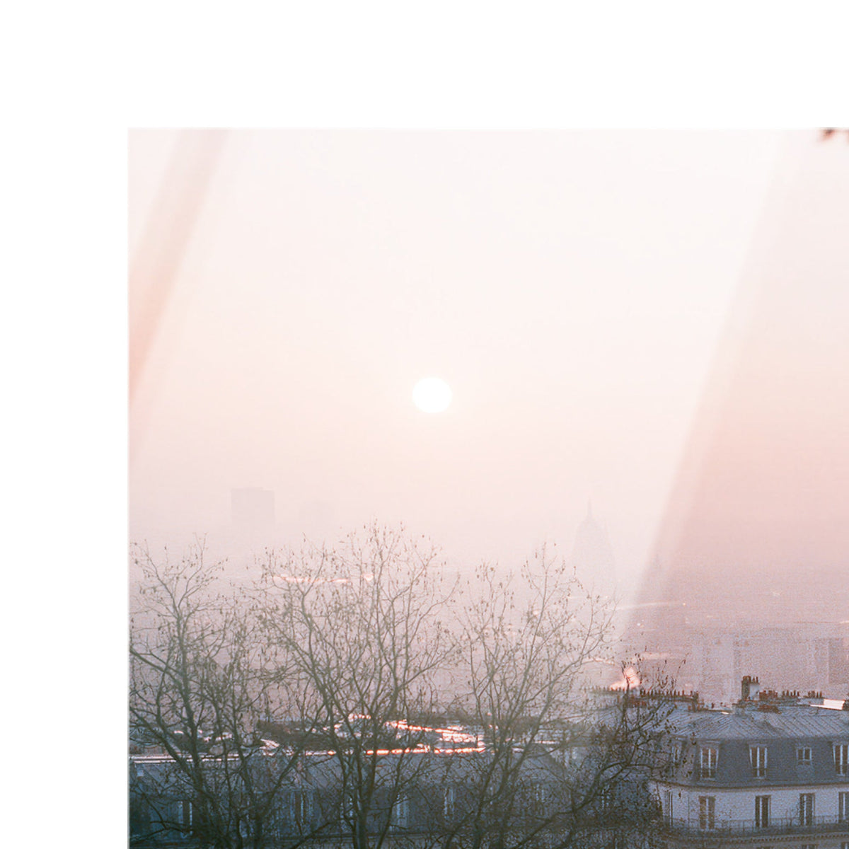 Blossom Framed Paris III