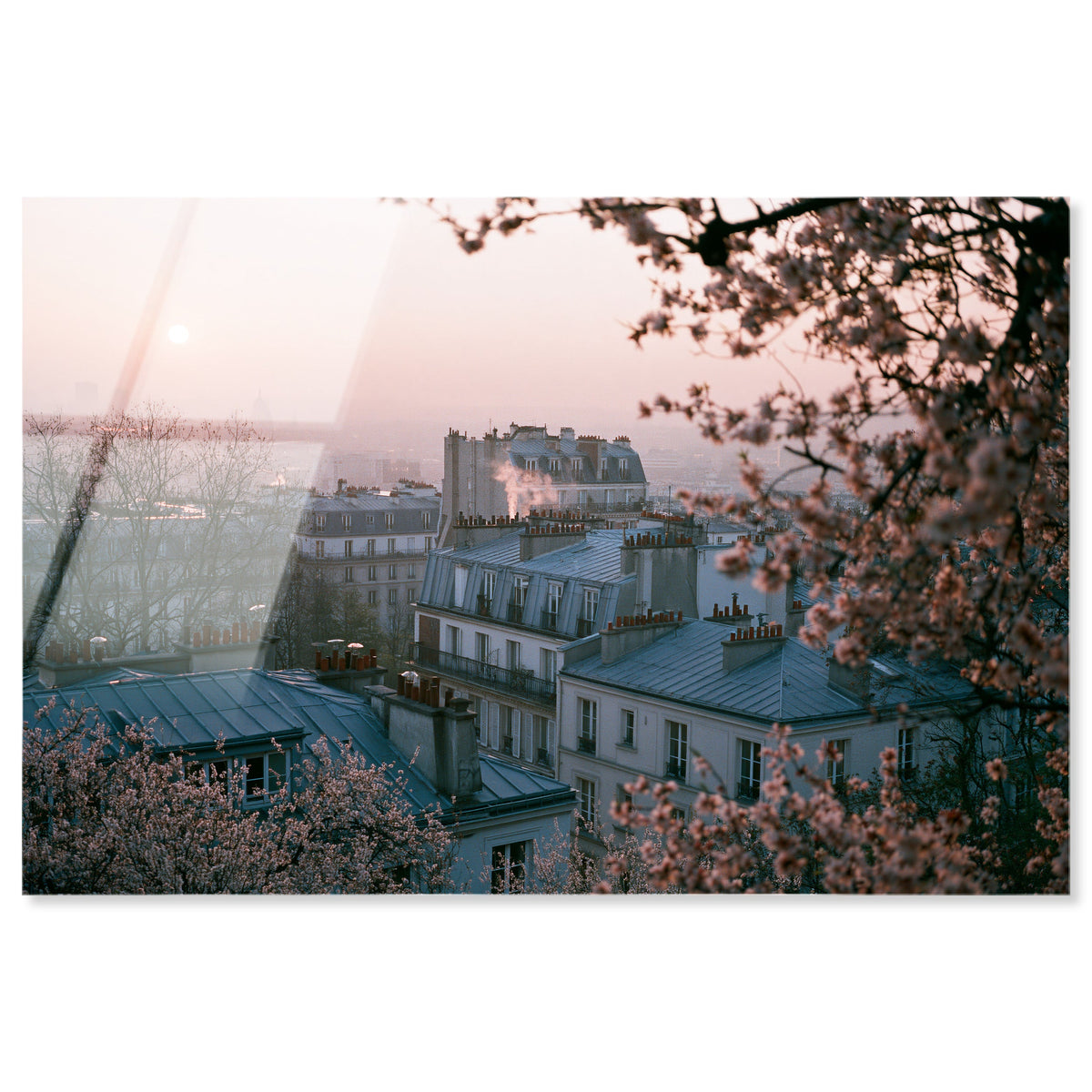 Blossom Framed Paris III