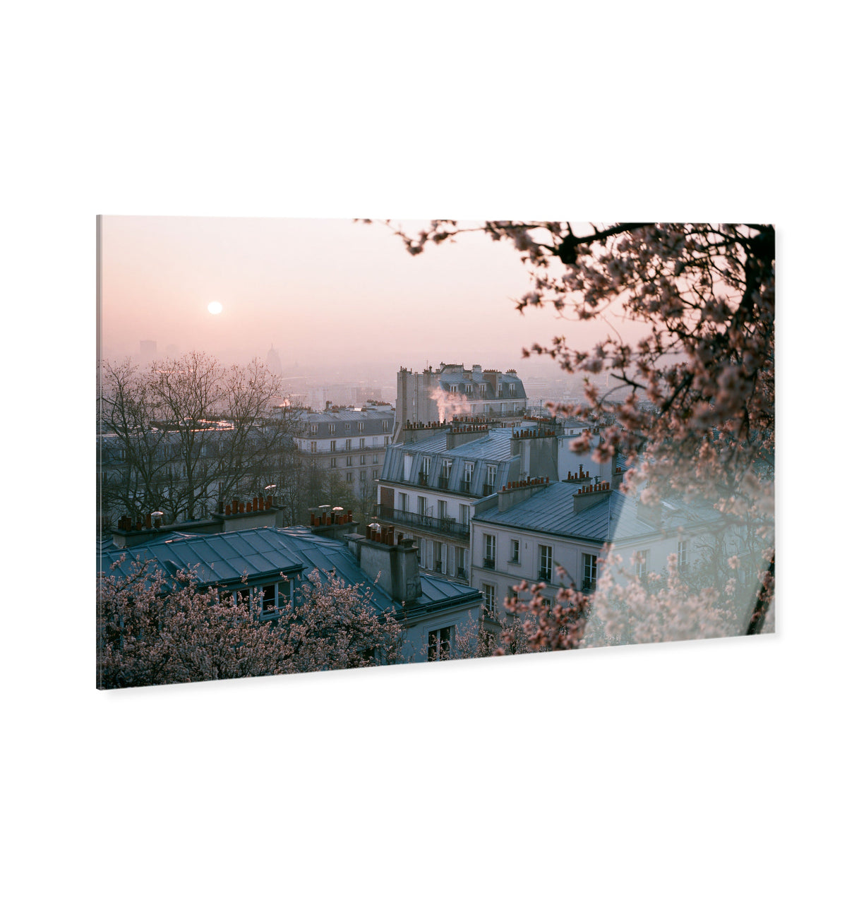 Blossom Framed Paris III