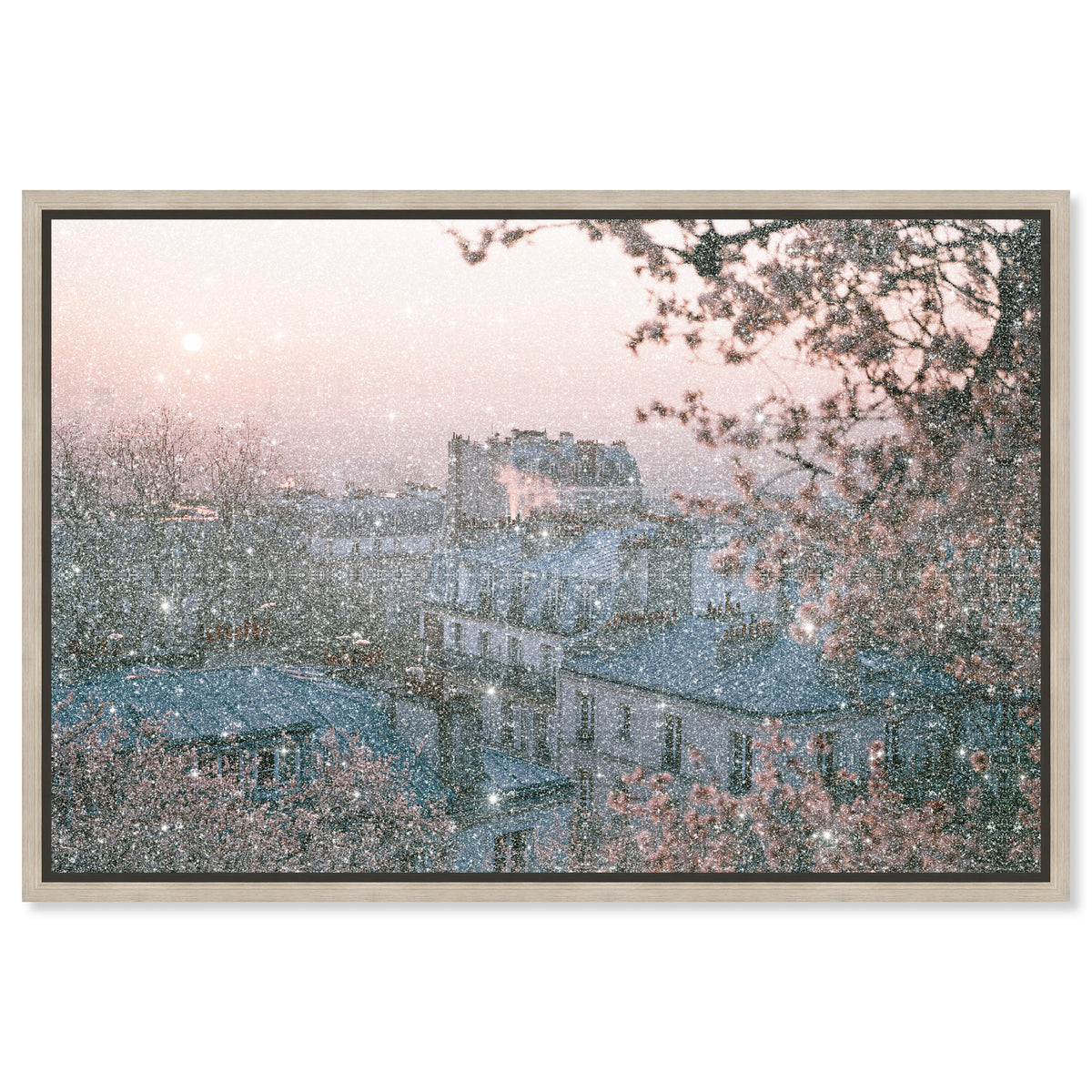 Blossom Framed Paris III