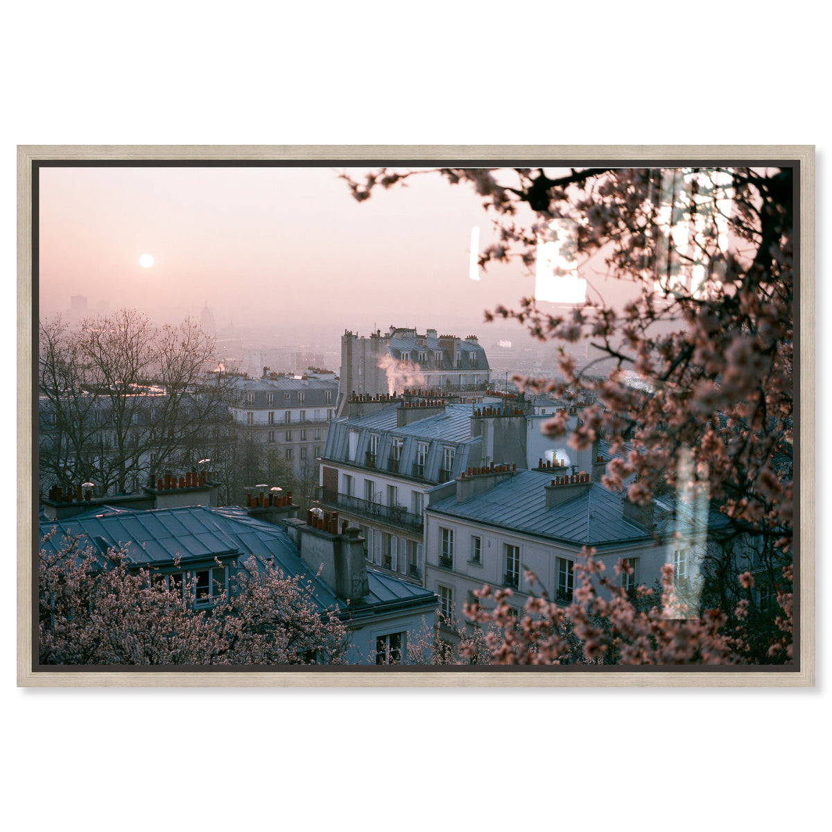 Blossom Framed Paris III
