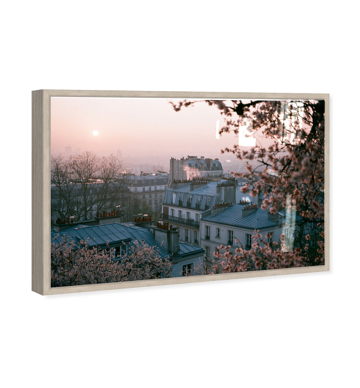 Blossom Framed Paris III