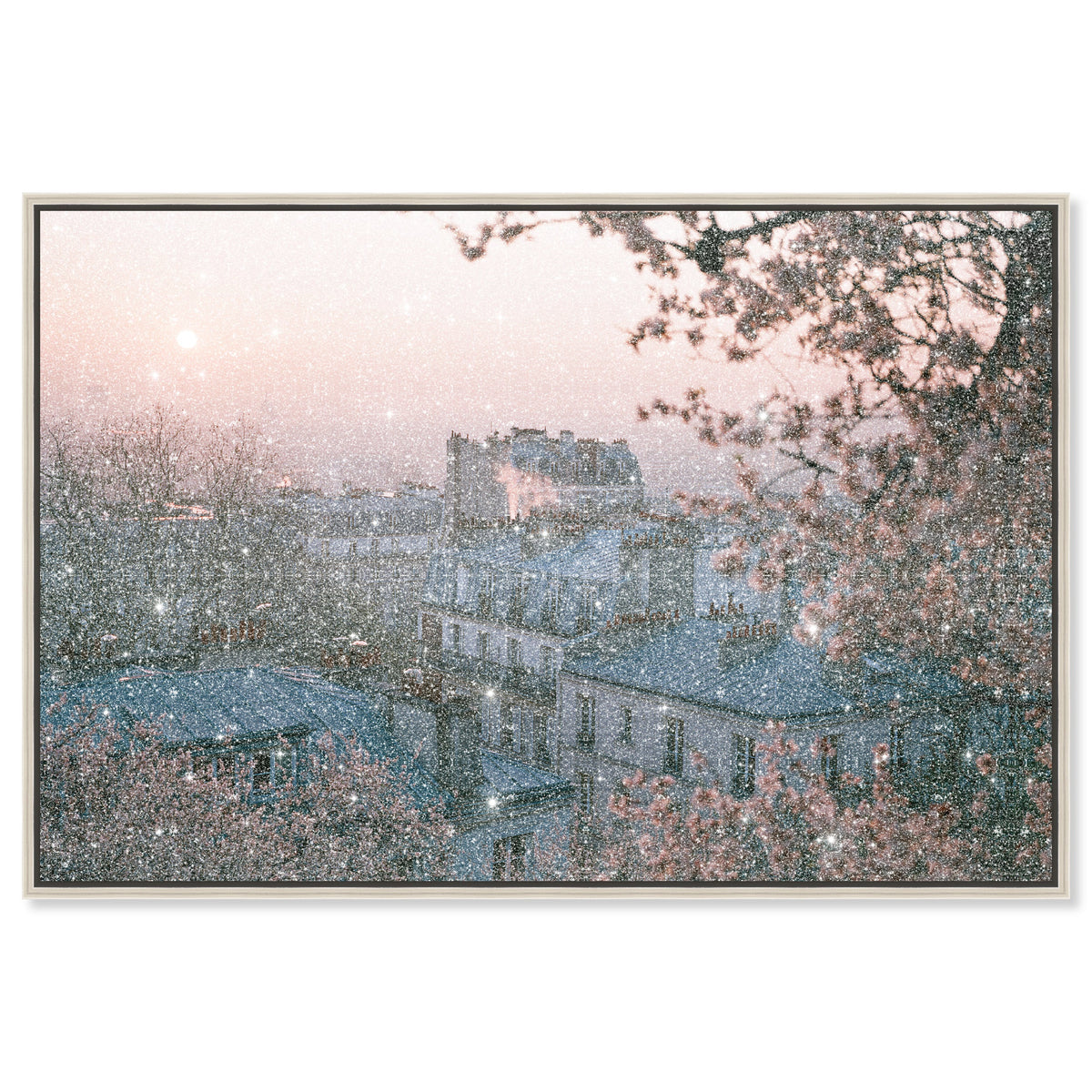 Blossom Framed Paris III