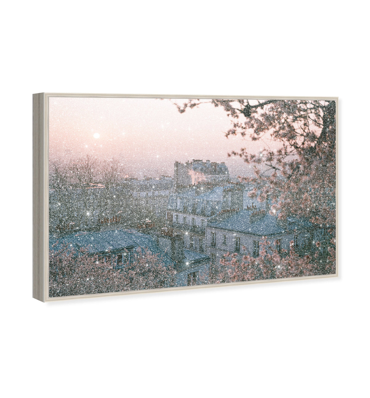 Blossom Framed Paris III