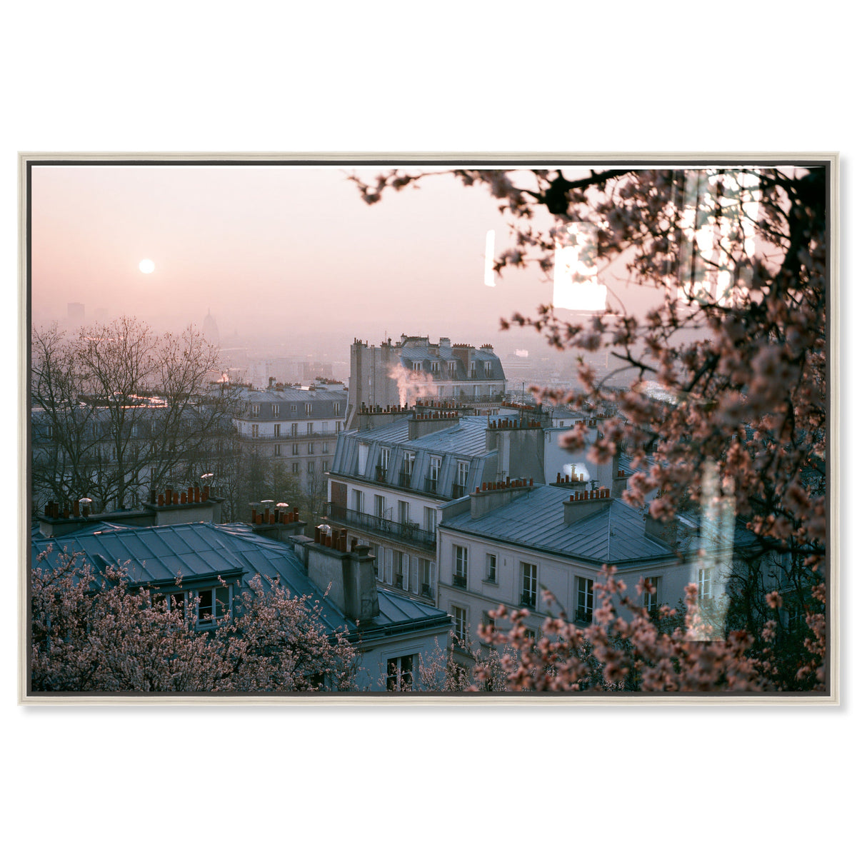 Blossom Framed Paris III