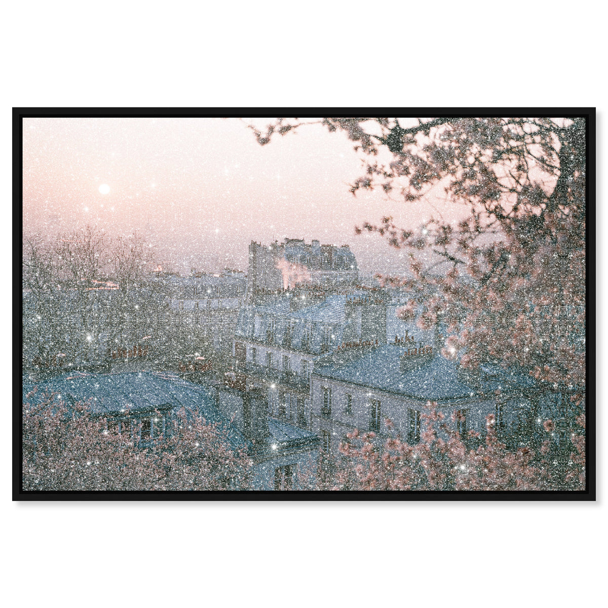 Blossom Framed Paris III