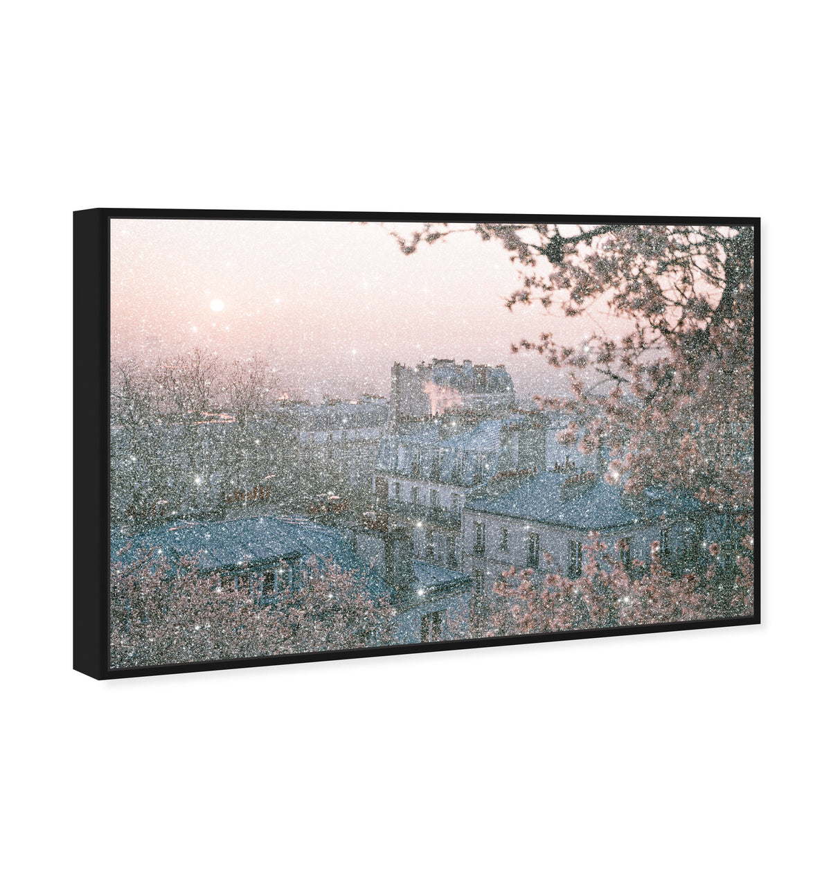Blossom Framed Paris III