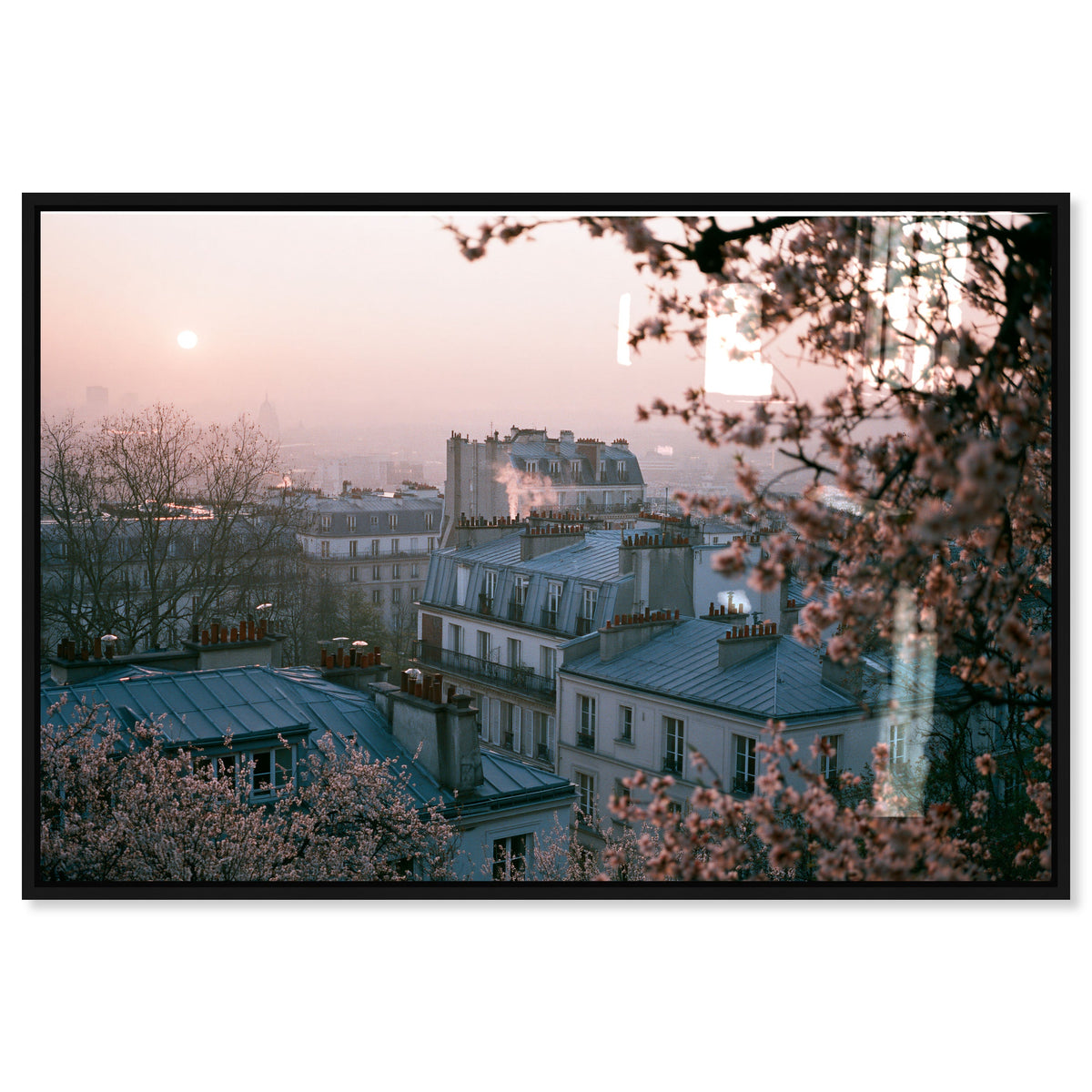 Blossom Framed Paris III