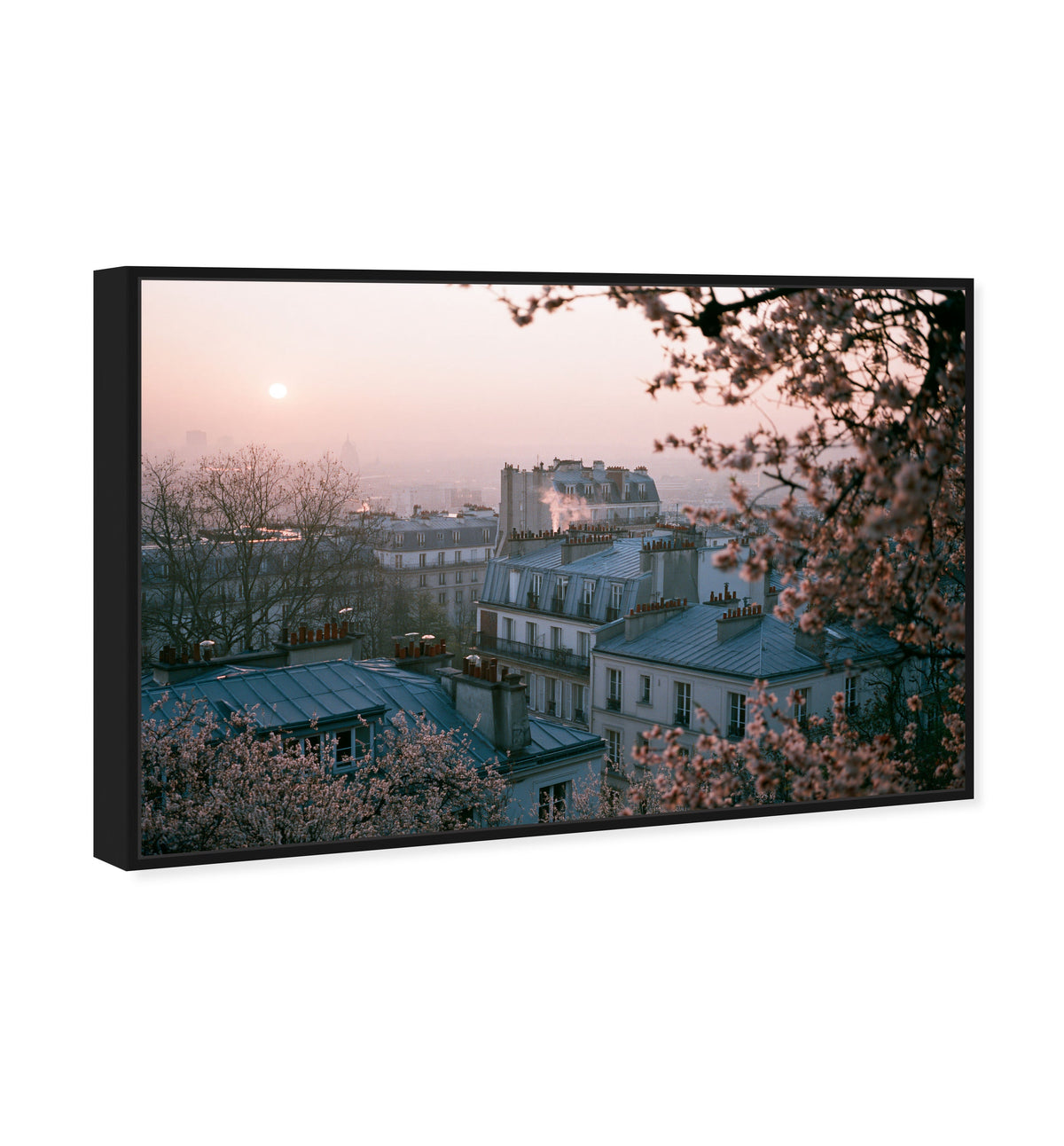 Blossom Framed Paris III