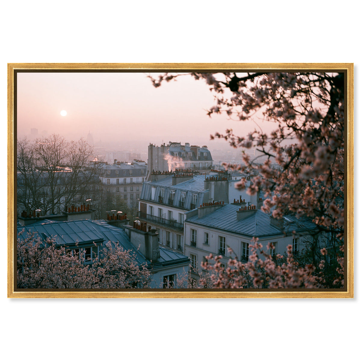 Blossom Framed Paris III